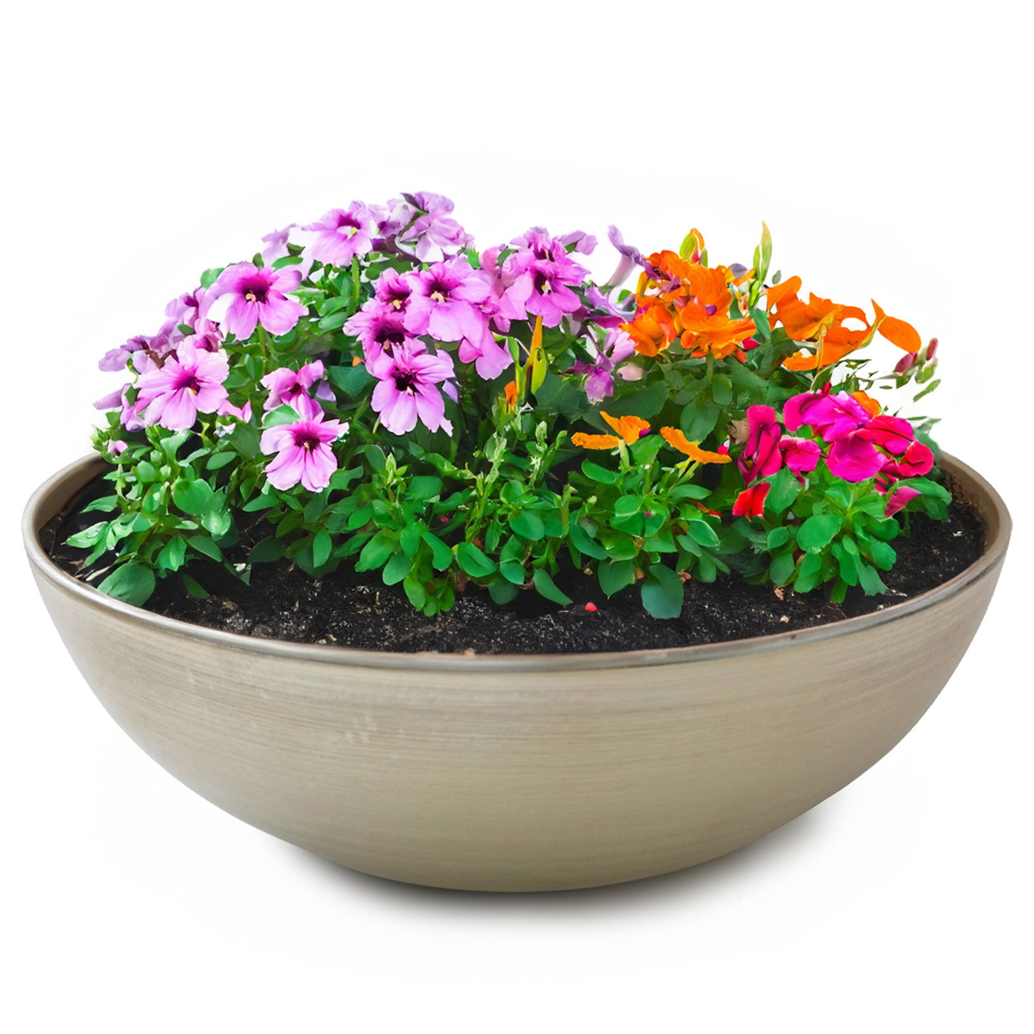 matches21 HOME & HOBBY Blumentopf Runde günstig online kaufen