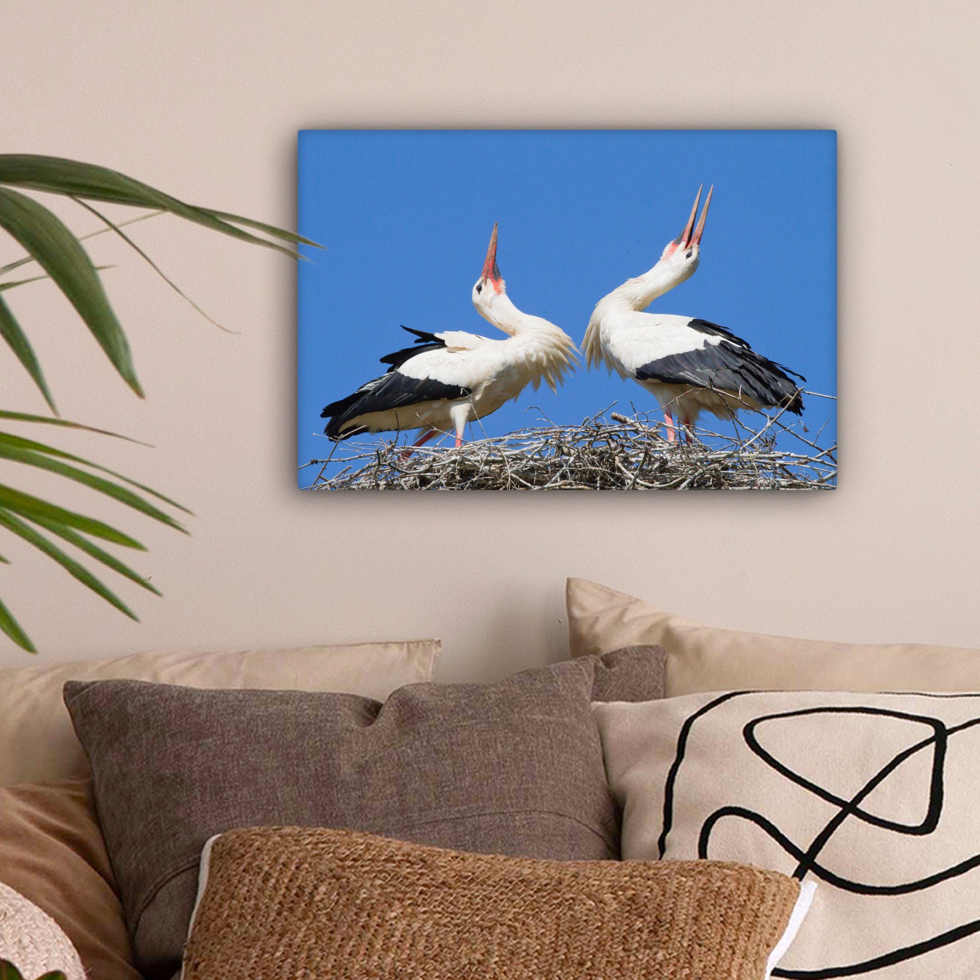 (1 Wanddeko, Wandbild Bild Leinwandbilder, Aufhängefertig, Leinwandbild Störchen von Atemberaubendes ihrem 30x20 zwei in St), cm OneMillionCanvasses® Nest,