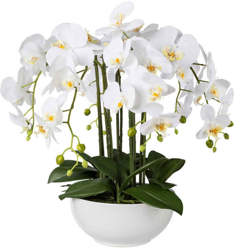 Kunstpflanze Orchidee, Creativ green, Höhe 54 cm