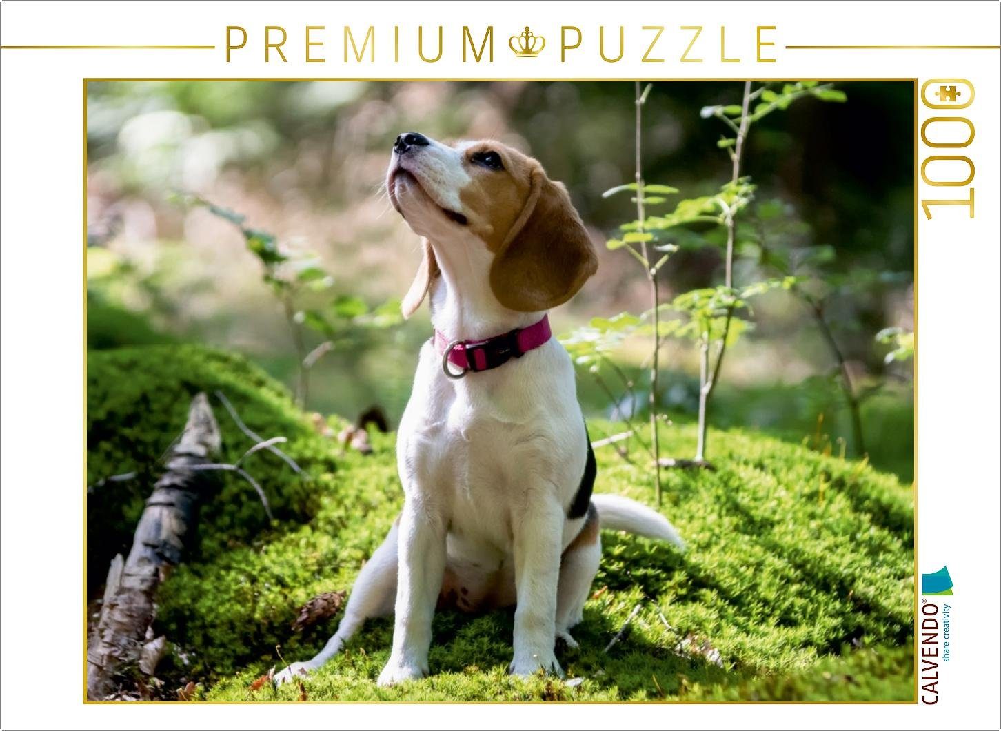 CALVENDO Puzzle CALVENDO Puzzle Beagle-Mädchen im Wald 1000 Teile  Lege-Größe 64 x 48 cm Foto-Puzzle Bild von Sonja Teßen, 1000 Puzzleteile