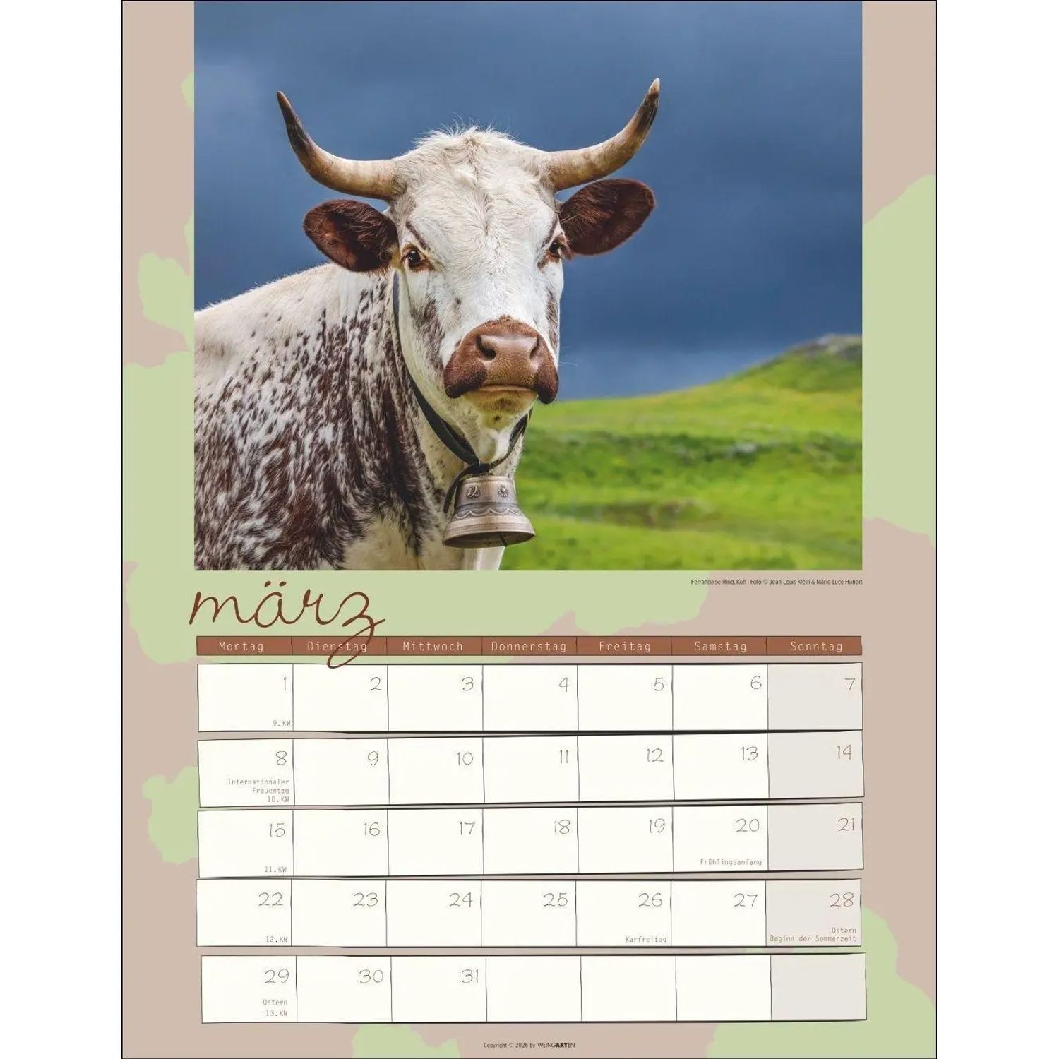 Wandkalender Kuh Kalender 2027