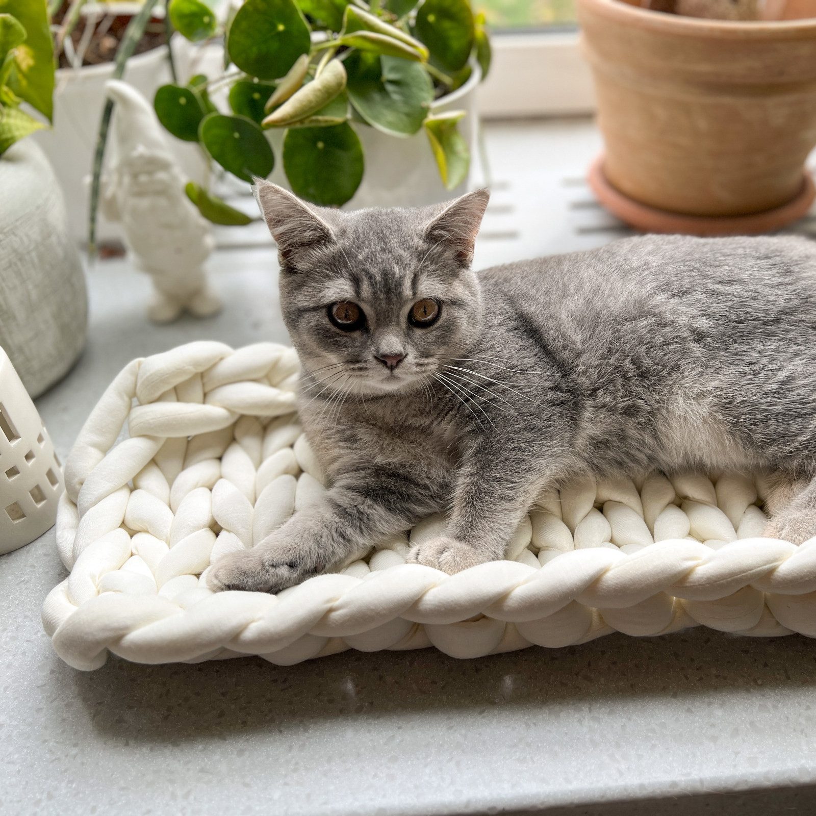 Aumüller Tierkissen Fensterbankliege für Katzen, Katzenbett aus Grobstrick, Beige
