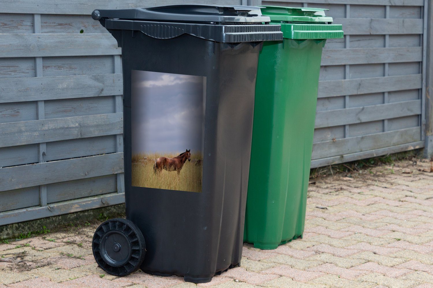 Mülltonne, Mülleimer-aufkleber, - MuchoWow Pferd Sticker, Wandsticker - Abfalbehälter Container, (1 Gras Criollo St),