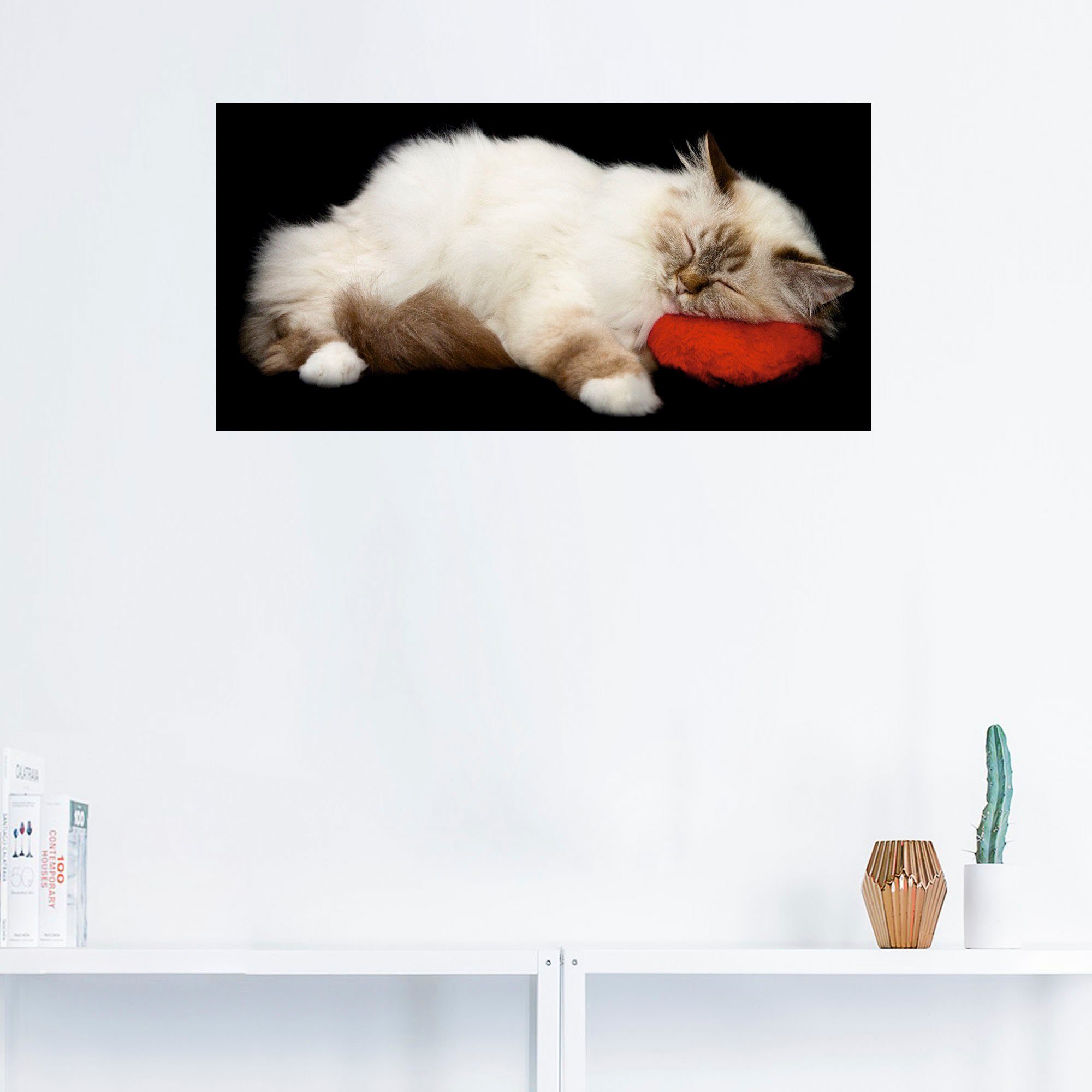 Müde St), in Haustiere versch. Wandbild (1 Poster Alubild, Katze, oder Artland Leinwandbild, Größen Wandaufkleber als