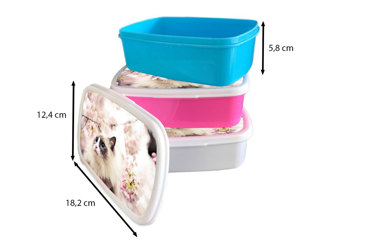 Ragdoll-Katze (2-tlg), Blumen, für Brotdose, rosa Jungs Mädchen und Brotbox MuchoWow Kunststoff, zwischen weiß Eine für Erwachsene, Lunchbox Kinder und