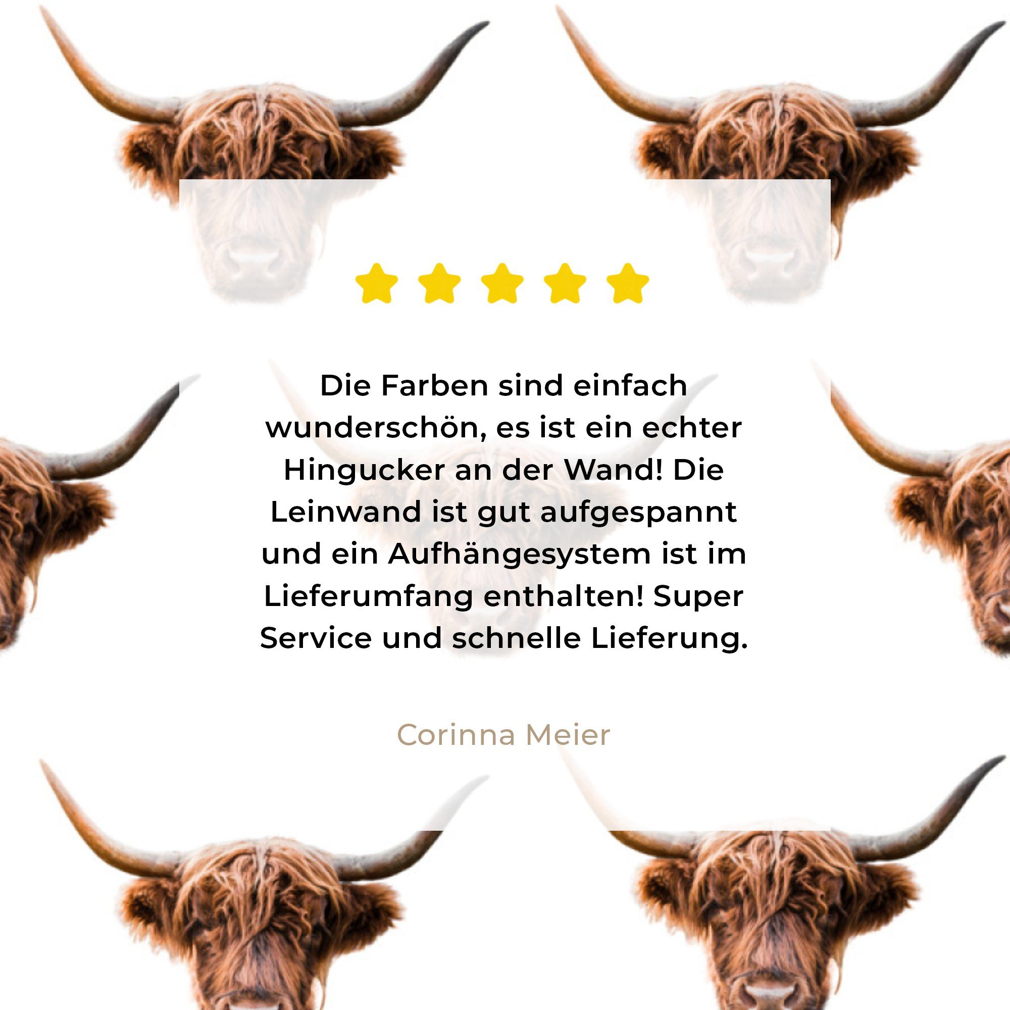 Leinwand Highlander - Bilder OneMillionCanvasses® Wohnzimmer Leinwandbild cm für - St), Schottischer Schlafzimmer, Tiere, (1 20x20 Muster