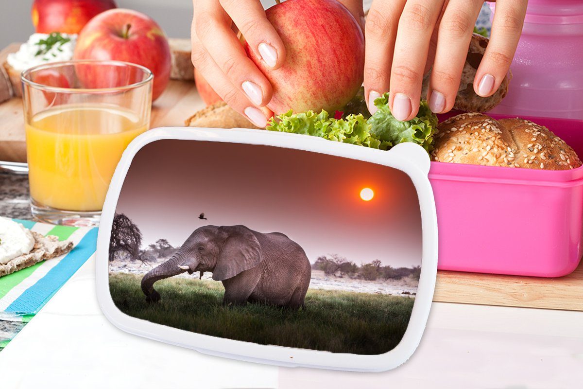 MuchoWow Lunchbox Tiere, für - Erwachsene, Snackbox, (2-tlg), Brotbox Mädchen, - Brotdose - Sonne Kunststoff Elefant rosa Gras Kinder, Kunststoff
