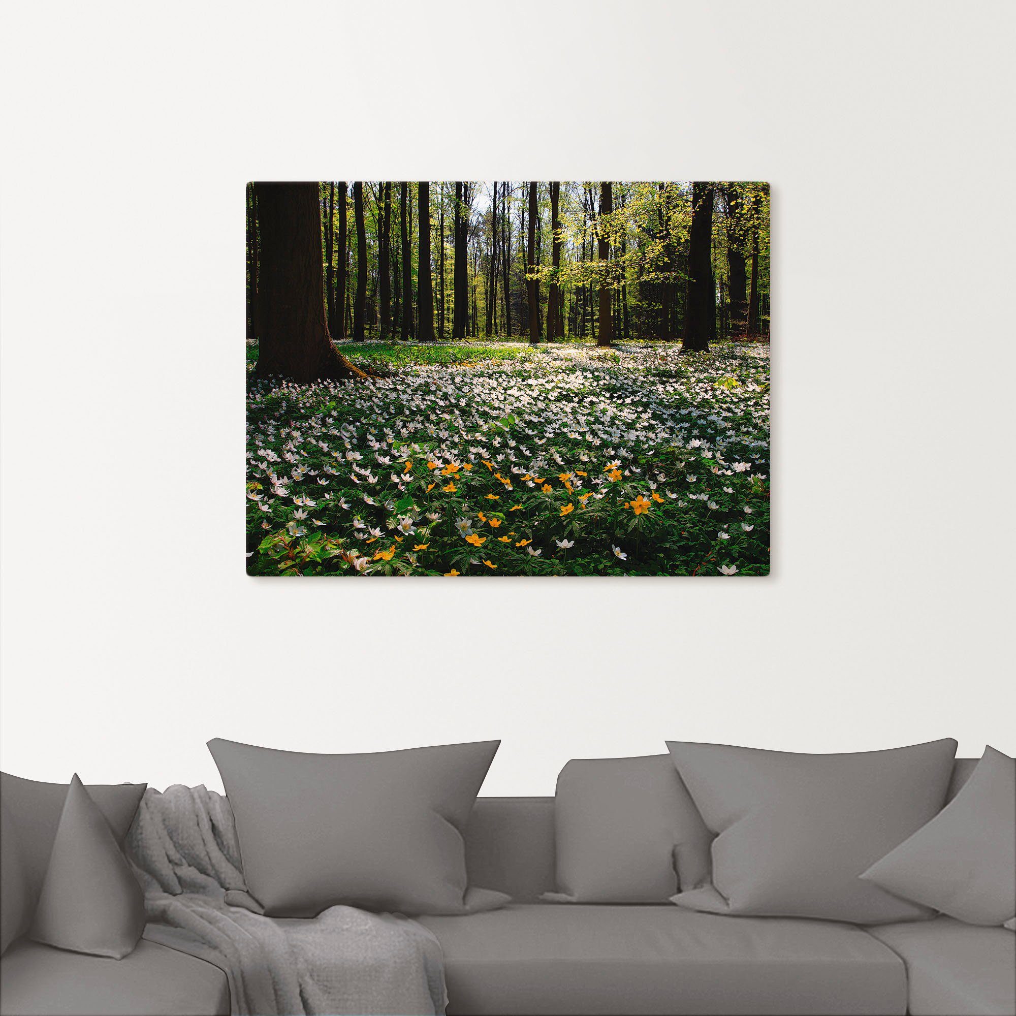 Artland Wandbild Frühlingswald bedeckt mit Windröschen, Wald (1 St), als Leinwandbild, Poster in verschied. Größen