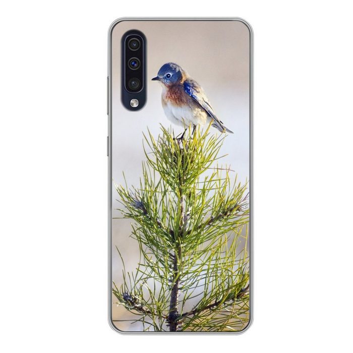 MuchoWow Handyhülle Vogel auf einem Ast eines Baumes Handyhülle Samsung Galaxy A50 Smartphone-Bumper Print Handy