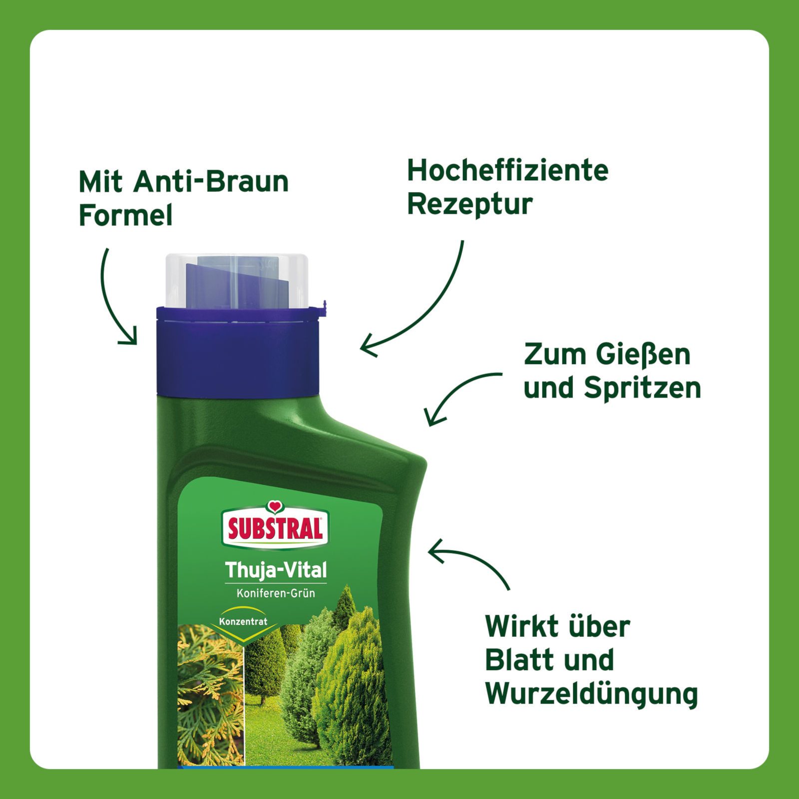 Substral Spezialdünger Thuja-Vital Koniferen Grün, Flüssigdünger Konzentrat, 500 ml