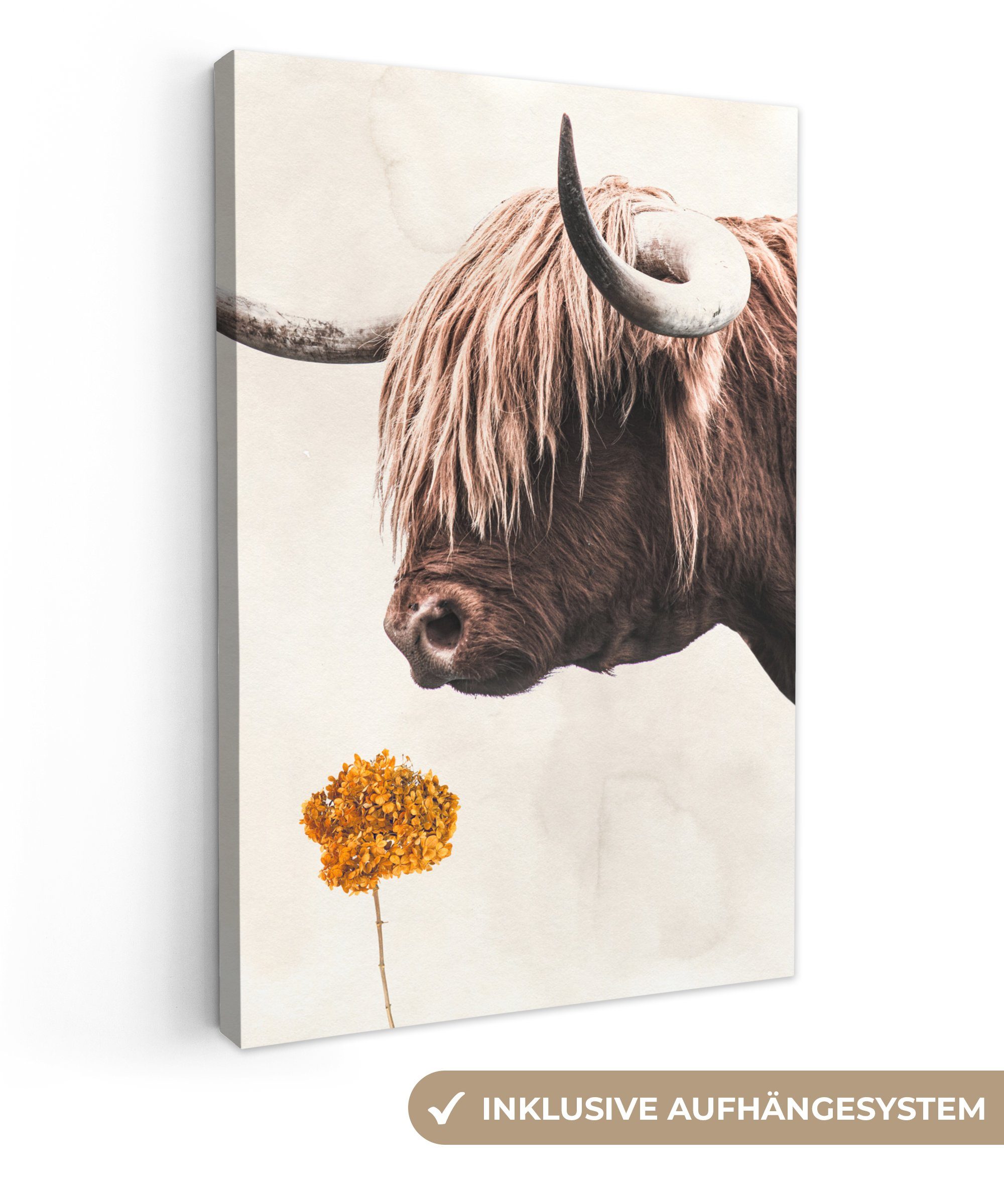 OneMillionCanvasses® Leinwandbild Schottischer Highlander - Blume - Vintage, (1 St), Leinwandbild fertig bespannt inkl. Zackenaufhänger, Gemälde, 20x30 cm