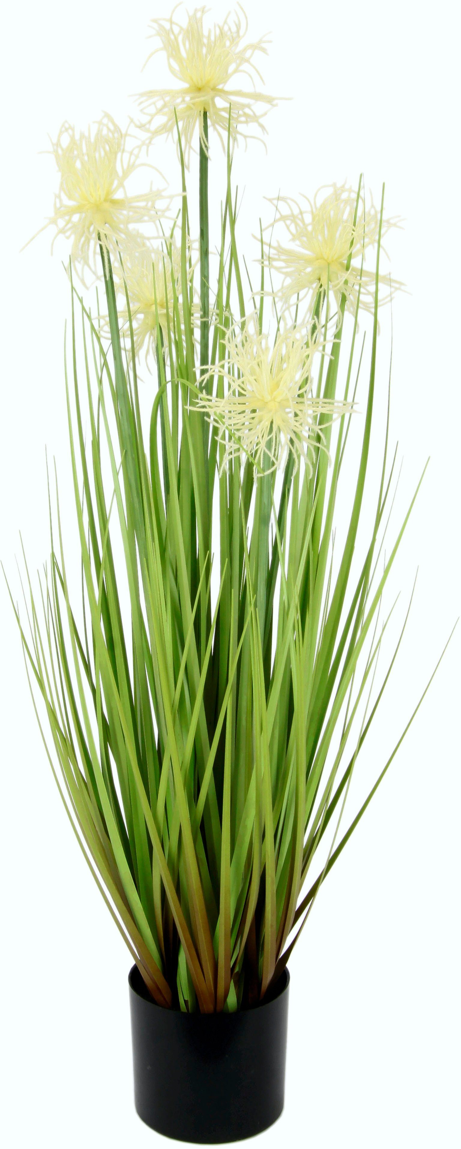 Kunstgras Proteagras, I.GE.A., Höhe 68 cm, im Kunststofftopf günstig online kaufen