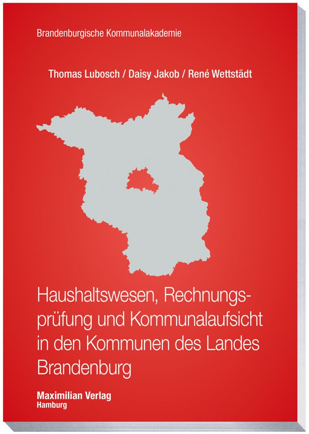 Haushaltswesen, Rechnungsprüfung und Kommunalaufsicht in den Kommunen / Thomas Lubosch, Daisy Jakob, René Wettstädt