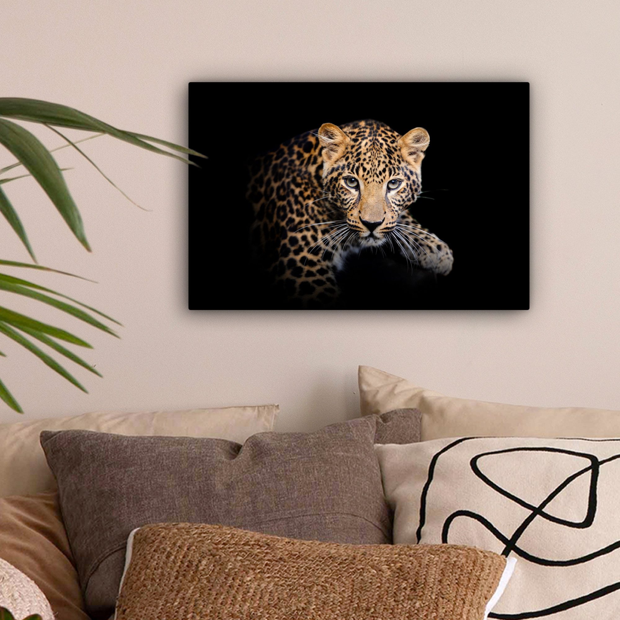 OneMillionCanvasses® Leinwandbild Panther - Schwarz - günstig online kaufen