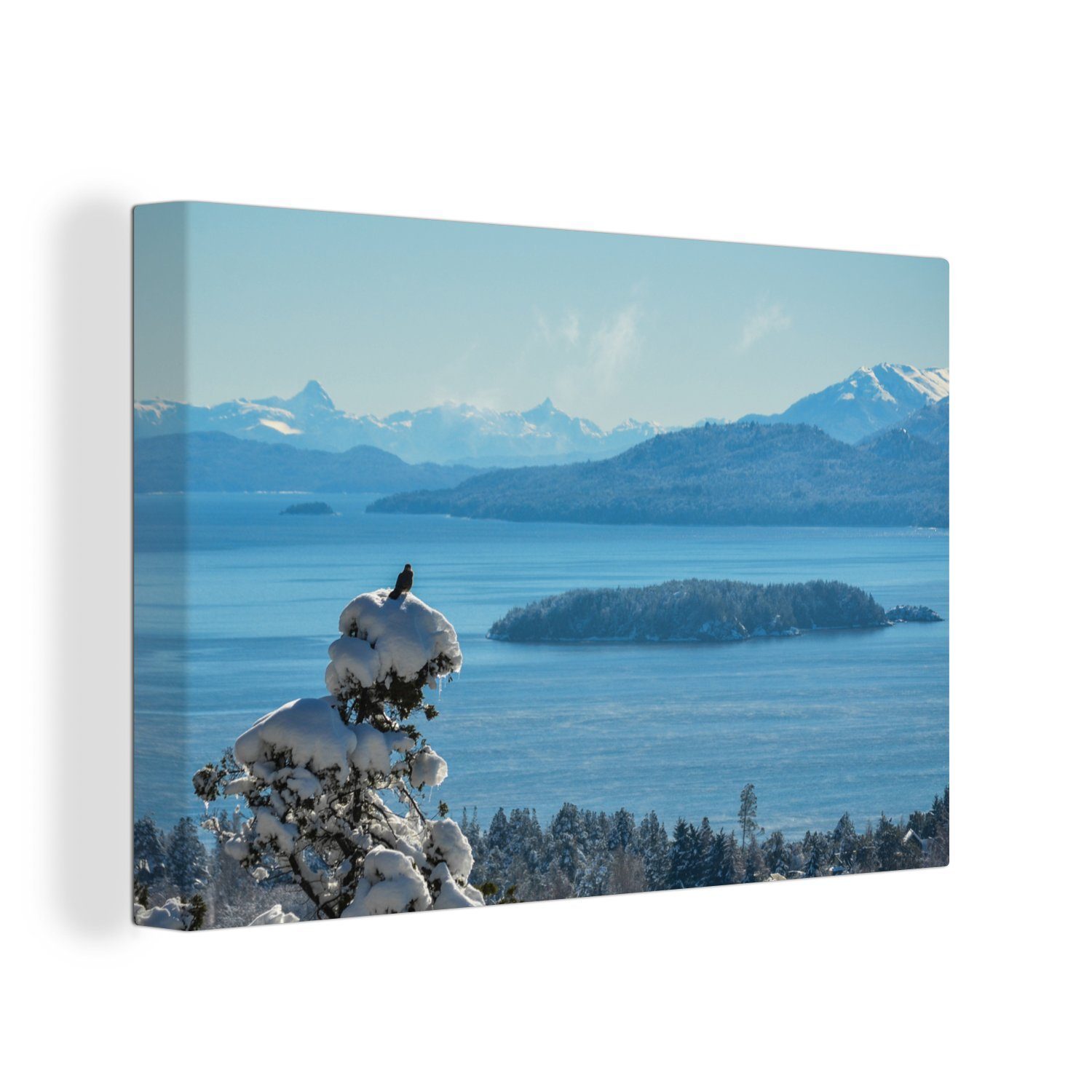 OneMillionCanvasses® Leinwandbild Vogel auf einem Nadelbaum am Nahuel Huapi-See in Südamerika, (1 St), Wandbild Leinwandbilder, Aufhängefertig, Wanddeko, 30x20 cm | Leinwandbilder