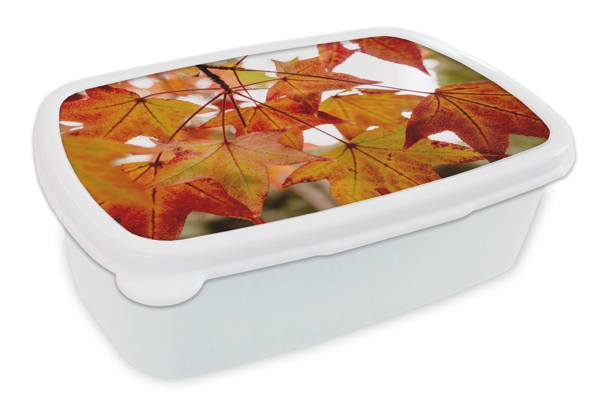 MuchoWow Lunchbox Herbstzweige - Blätter - Jahreszeiten - Landleben, Kunststoff, (2-tlg), Brotbox für Kinder und Erwachsene, Brotdose, für Jungs und Mädchen weiß