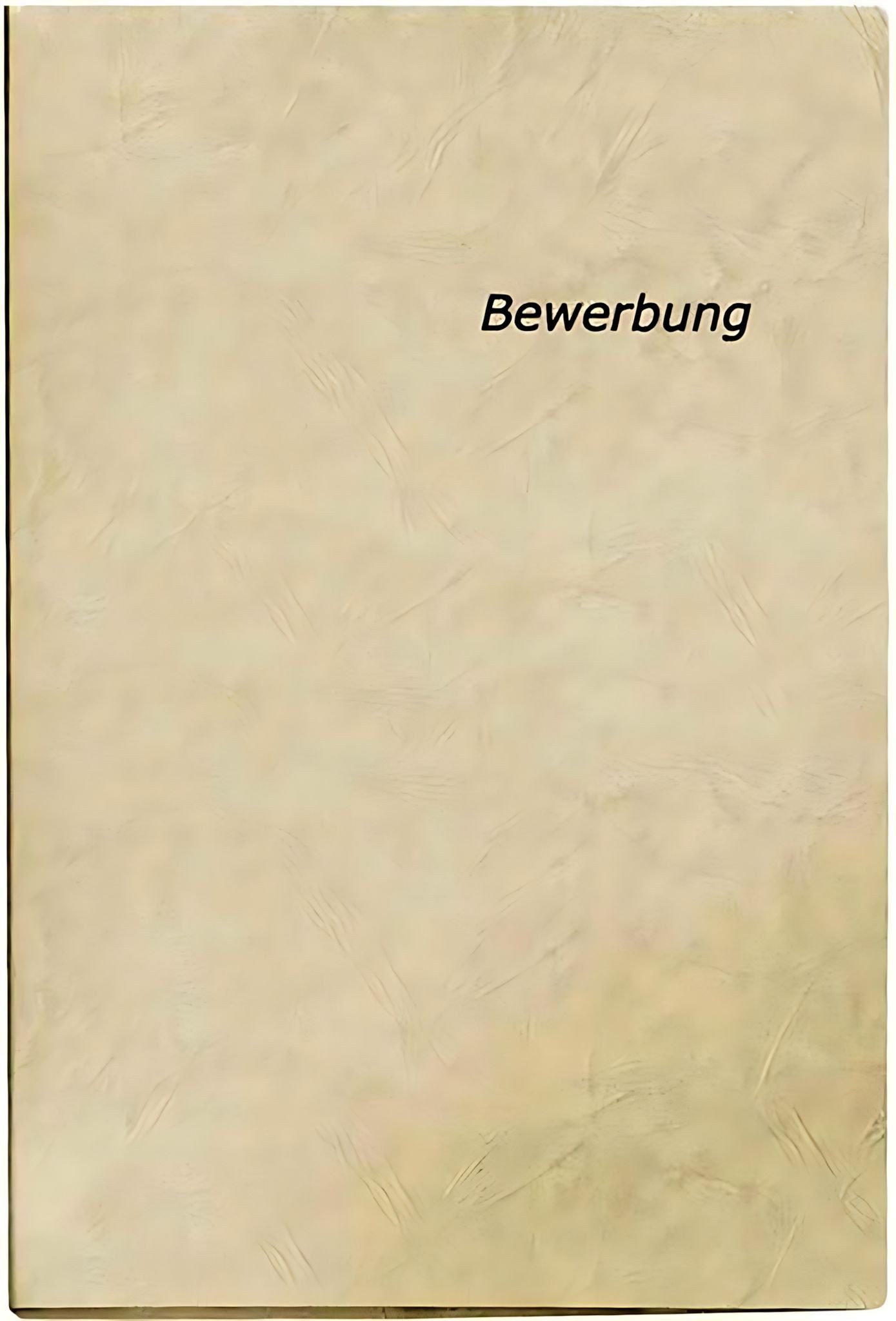 VELOFLEX Bewerbungsmappe VeloflexBewerbungsmappe, A4, Karton, 2-teilig,Klemmsch.,silber