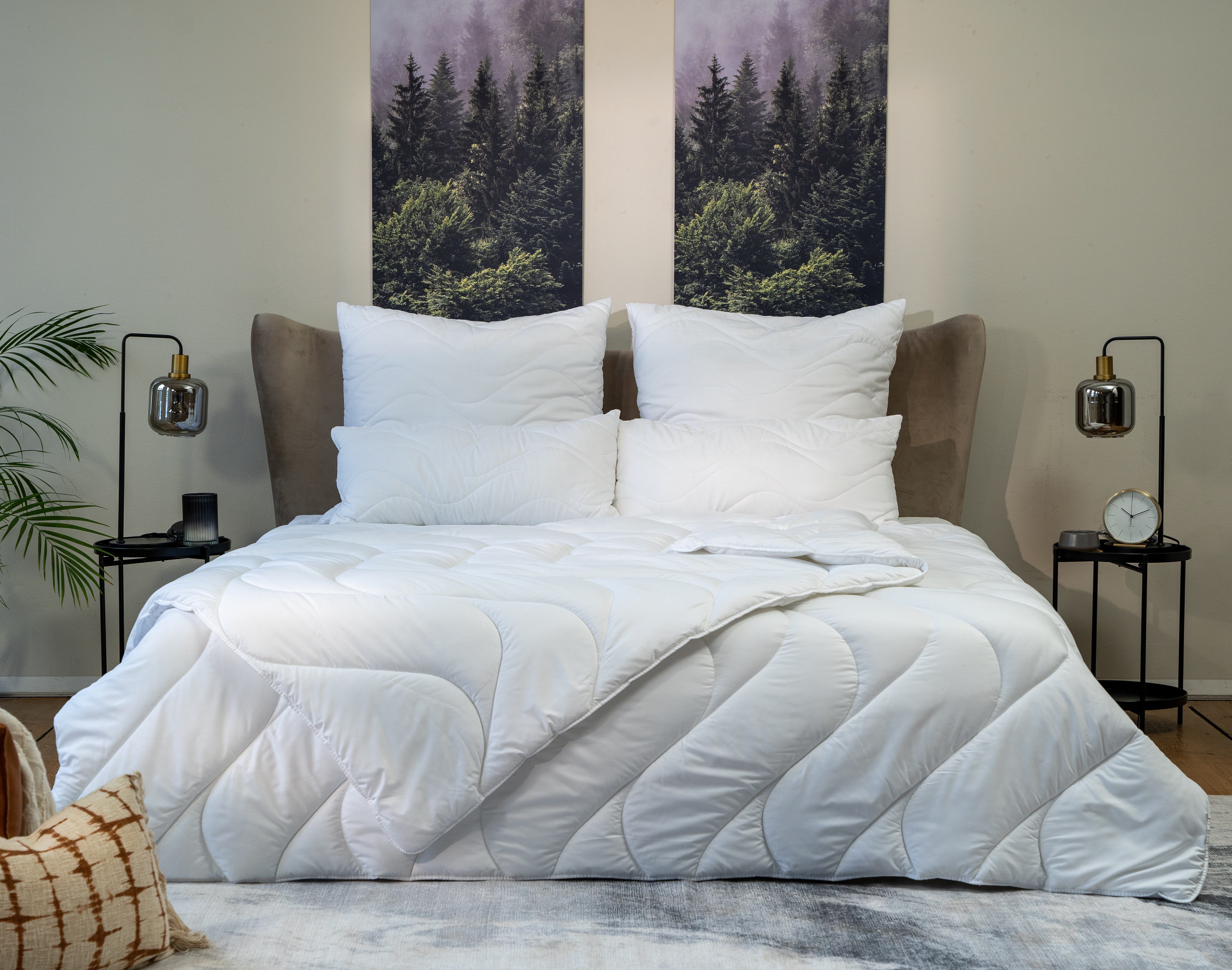 BEFA CARE Microfaserbettdecke 4-Jahreszeiten-Bettdecke mit Aloe Vera - Somm günstig online kaufen