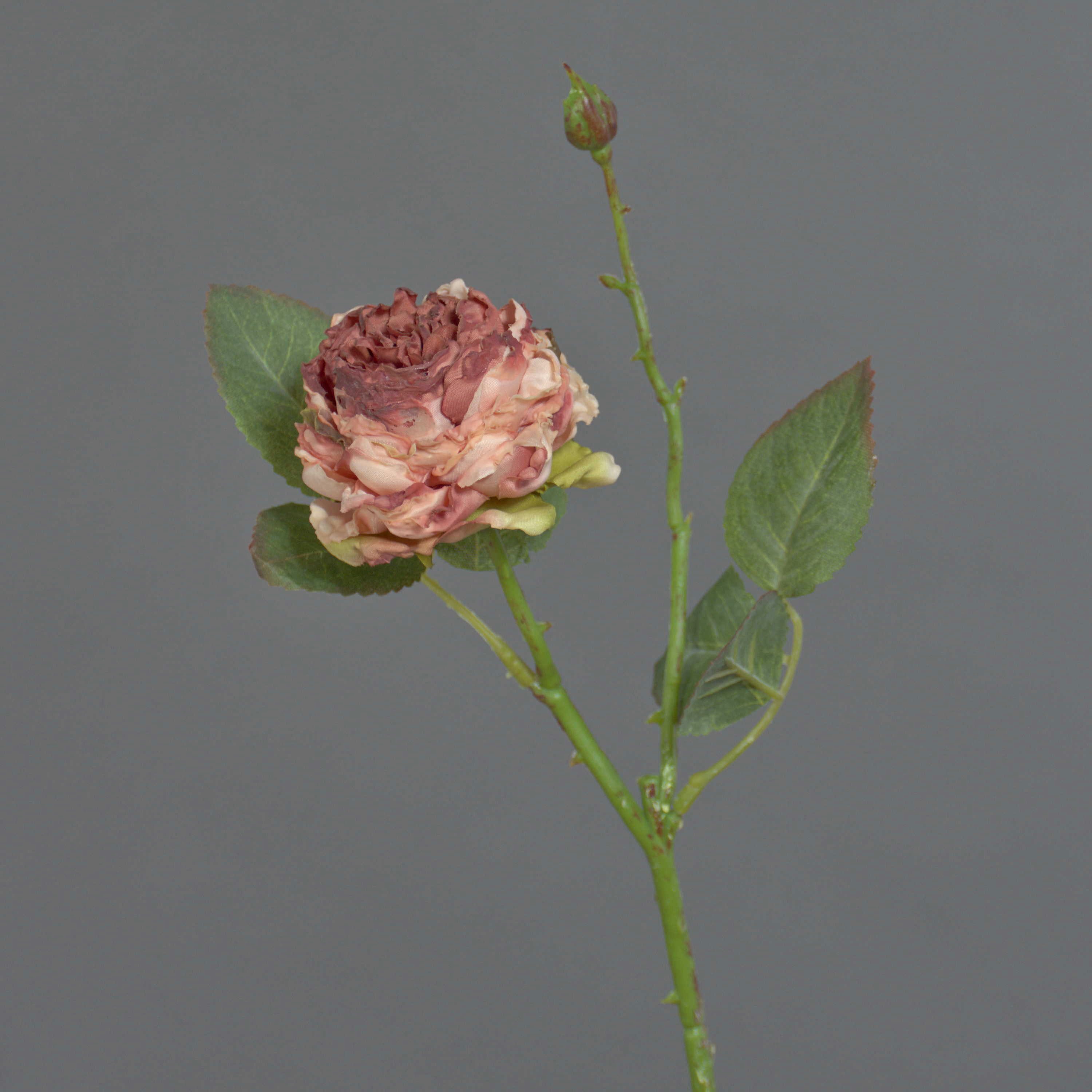 Kunstblume Künstliche Kohl-Rose VOMTE, Trockenoptik, Altrosa, 45cm Rose (Kohl-Rose), artplants, Höhe 45.0 cm