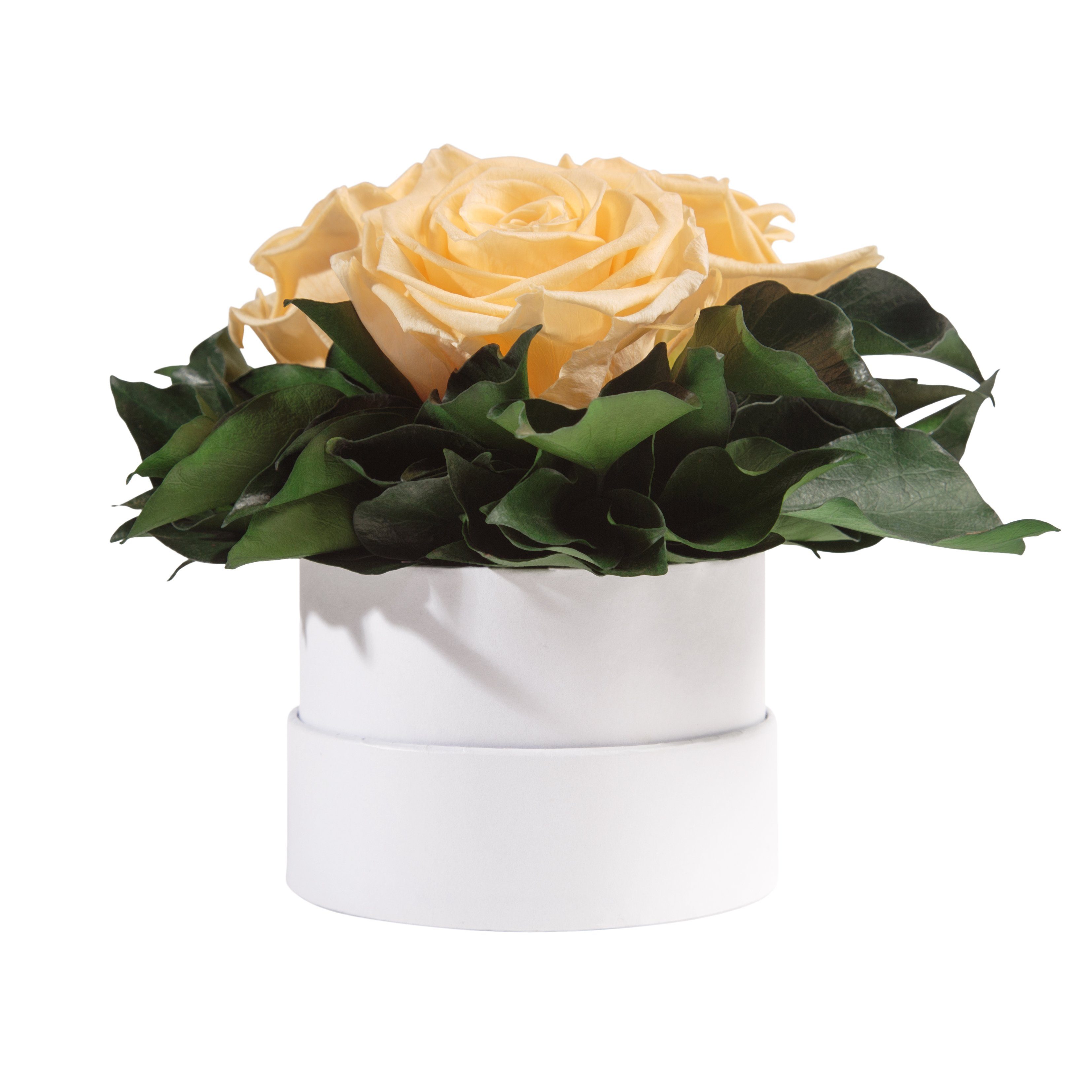 Kunstblume Infinity Rosenbox weiß rund 3 echte Rosen konserviert Rose, ROSEMARIE SCHULZ Heidelberg, Höhe 10 cm, Geschenk für Sie Rosen Beige