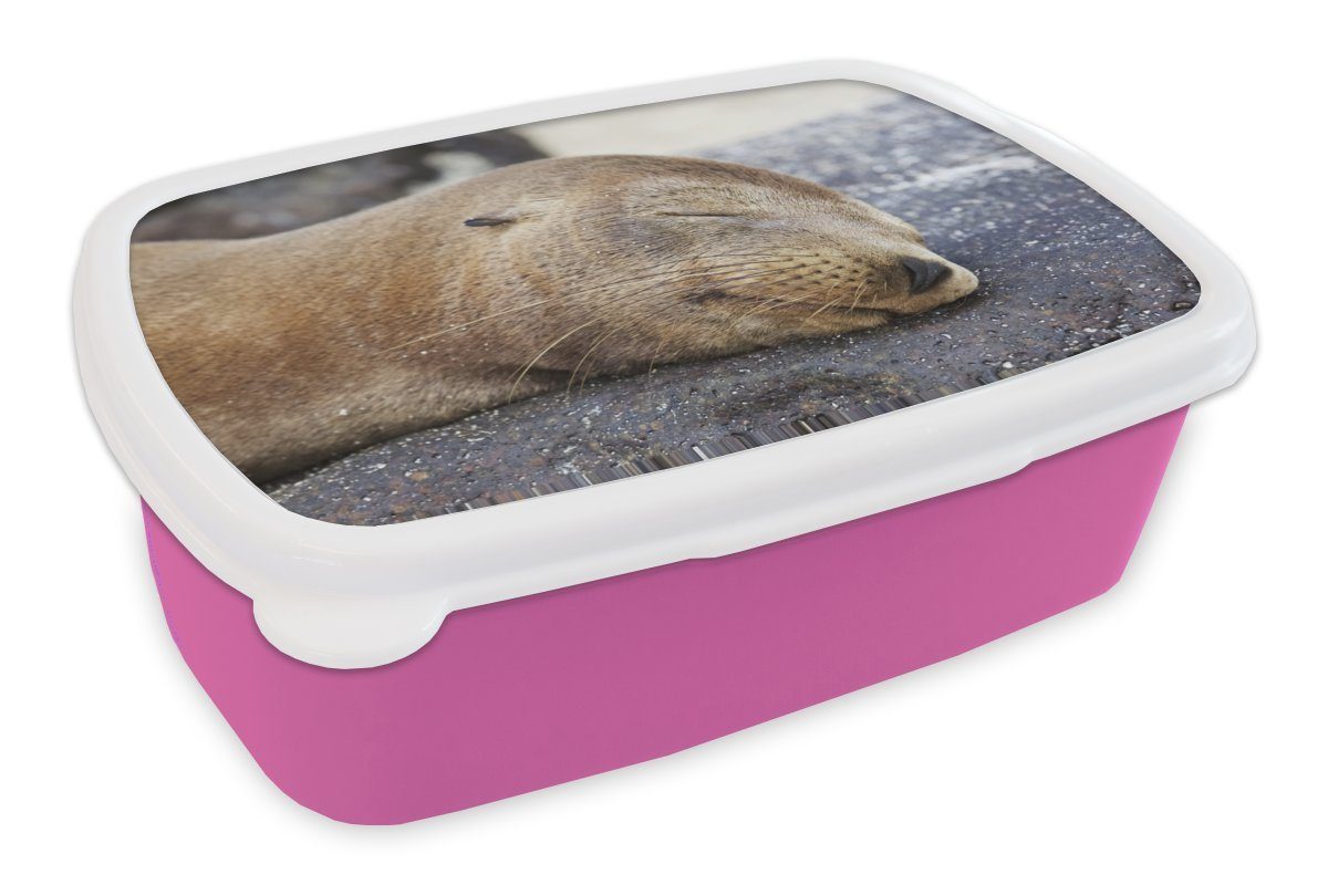 Kunststoff, - Snackbox, für rosa Brotbox Erwachsene, Kinder, Nahaufnahme Tiere Lunchbox Kunststoff Mädchen, MuchoWow (2-tlg), Brotdose Steine, -