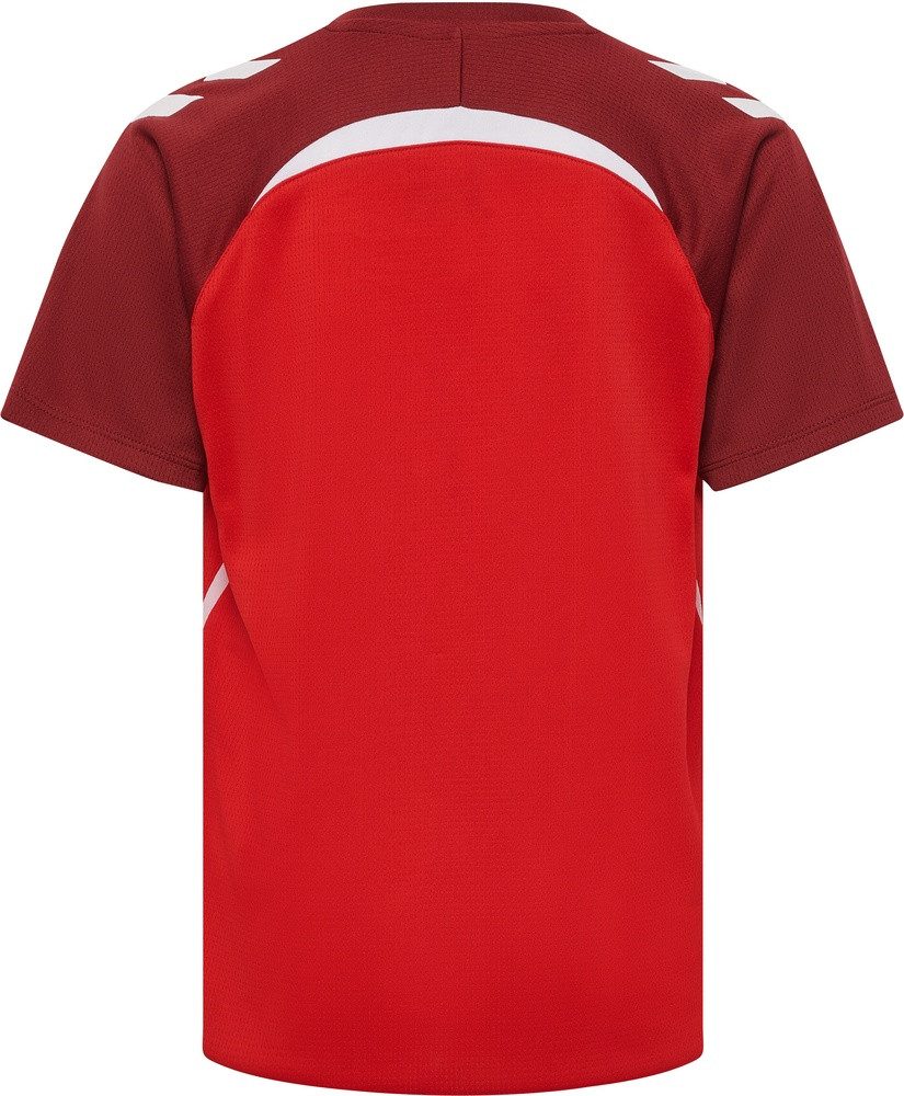 True Red/Maroon