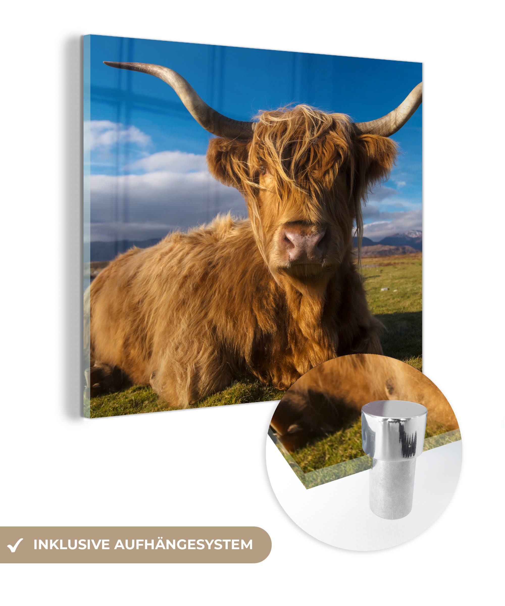 MuchoWow Acrylglasbild Schottische Highlander - Licht - Natur, (1 St), Glasbilder - Bilder auf Glas Wandbild - Foto auf Glas - Wanddekoration bunt | Bilder