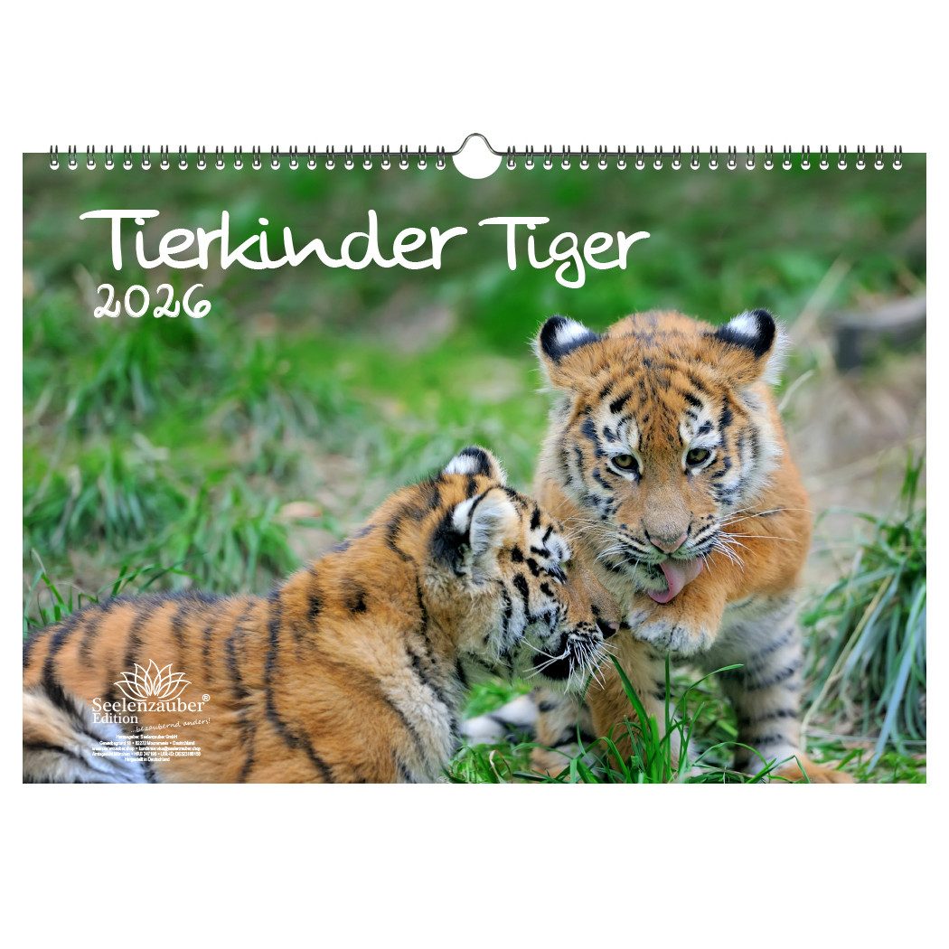 Seelenzauber Настенный календарь Tierkinder Tiger DIN A3 Календари für 2026 Tiger - Seelenzauber