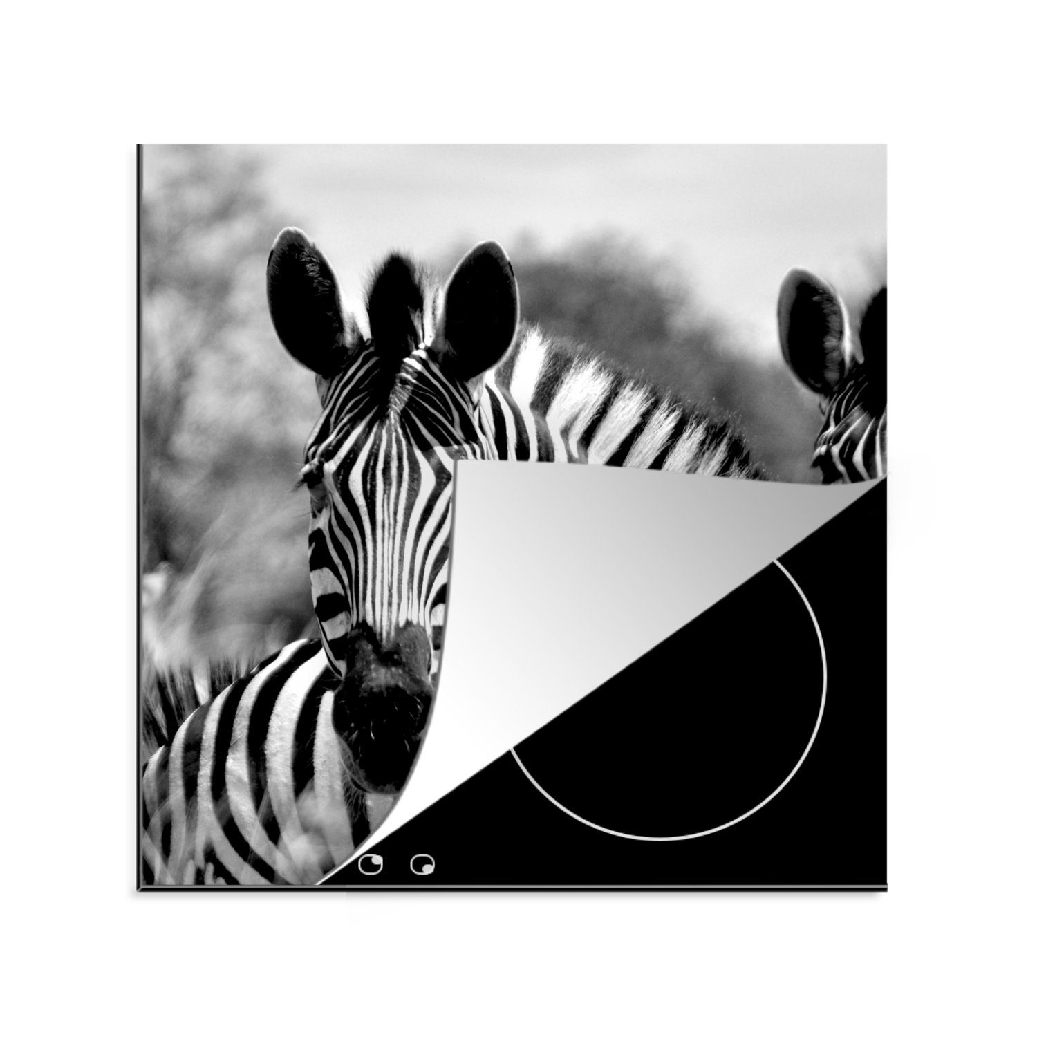 MuchoWow Herdblende-/Abdeckplatte Induktionsschutz - Zebra - Wild - Induktionsmatte, Vinyl, (1 tlg), 78x78 cm, Ceranfeldabdeckung, Arbeitsplatte für küche