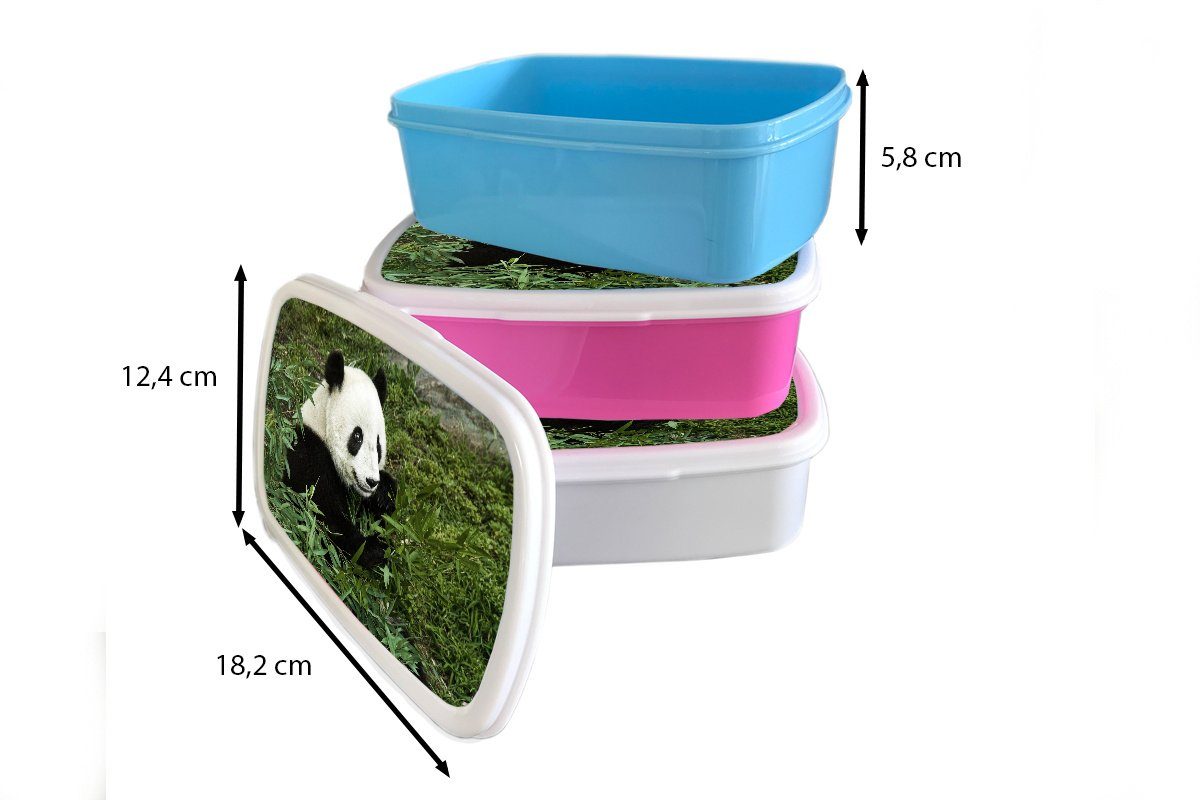(2-tlg), Panda und - Brotbox Pflanze, - Mädchen weiß Brotdose, Kunststoff, Erwachsene, MuchoWow Bambus Lunchbox für und für Jungs Kinder