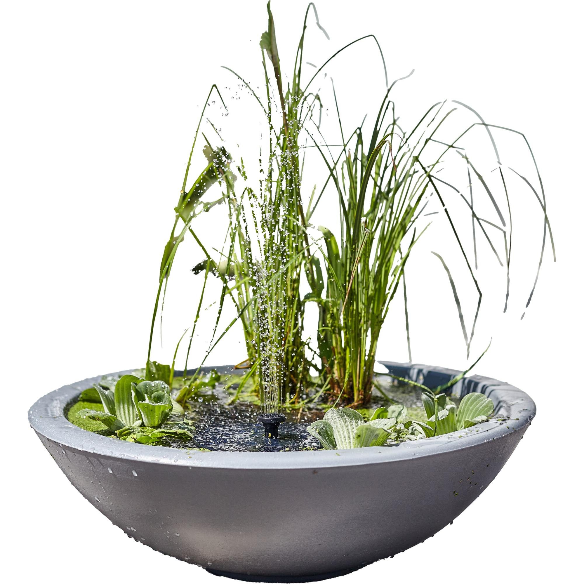 Heissner Gartenbrunnen Solar Wassergarten LOTUSGARDEN inkl. Wasserspielpu, günstig online kaufen