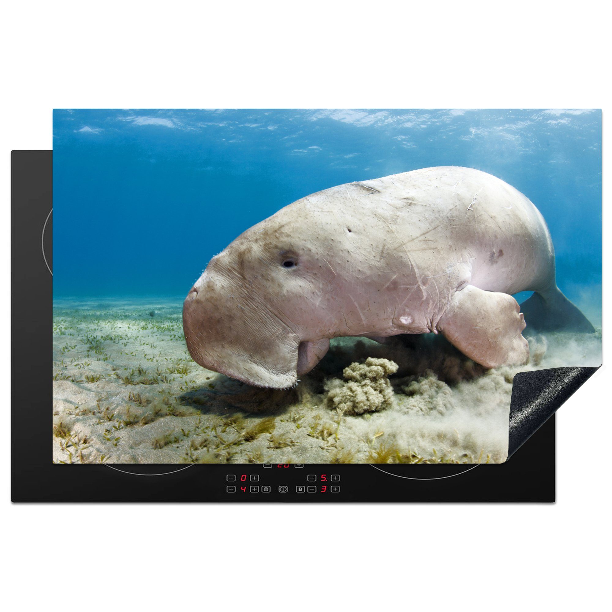 MuchoWow Herdblende-/Abdeckplatte Ein Dugong ernährt sich von Seegras, Vinyl, (1 tlg), 81x52 cm, Induktionskochfeld Schutz für die küche, Ceranfeldabdeckung