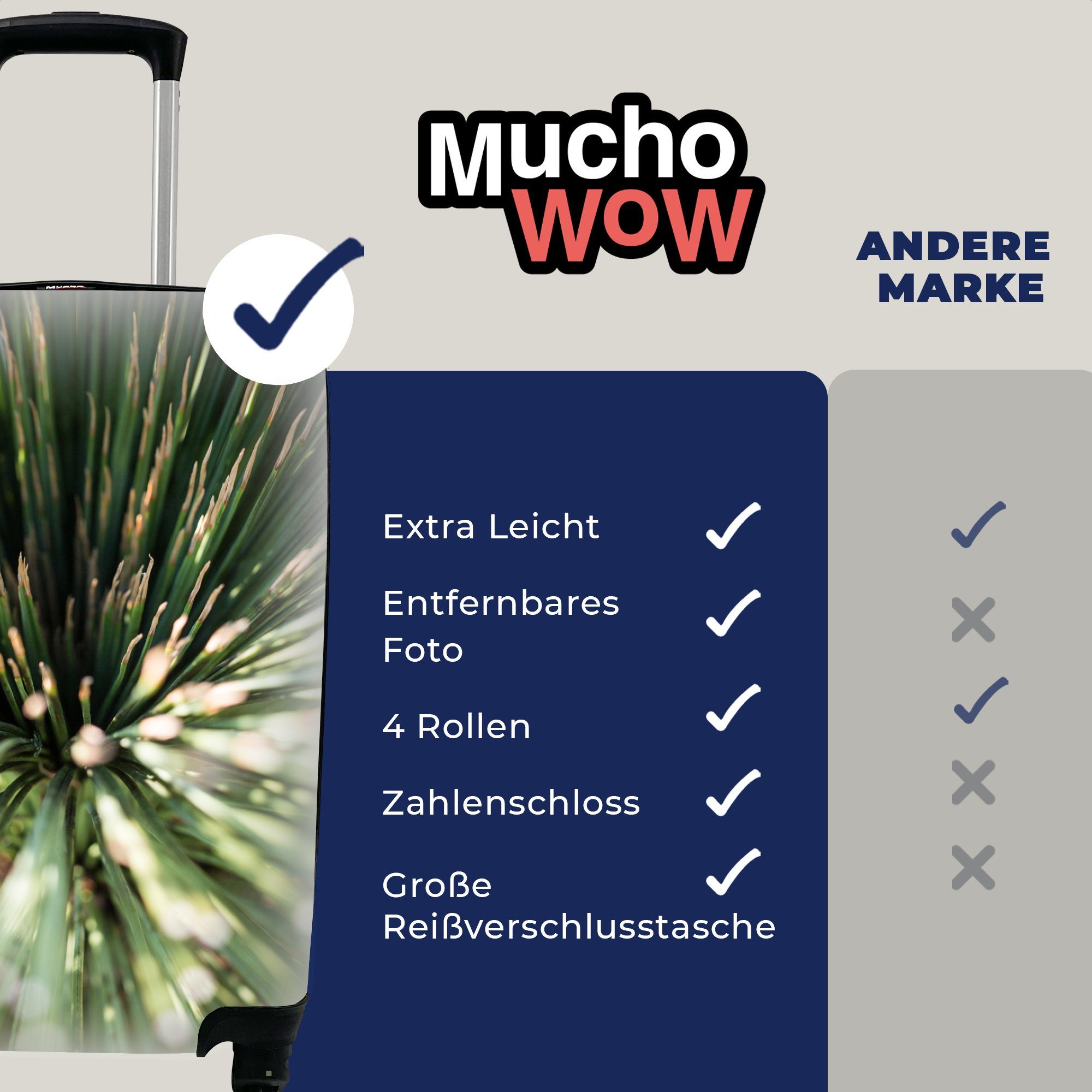 Kaktus Abstrakt für - Reisetasche MuchoWow Handgepäckkoffer rollen, Trolley, Rollen, Pflanze, Handgepäck mit 4 Ferien, - Reisekoffer