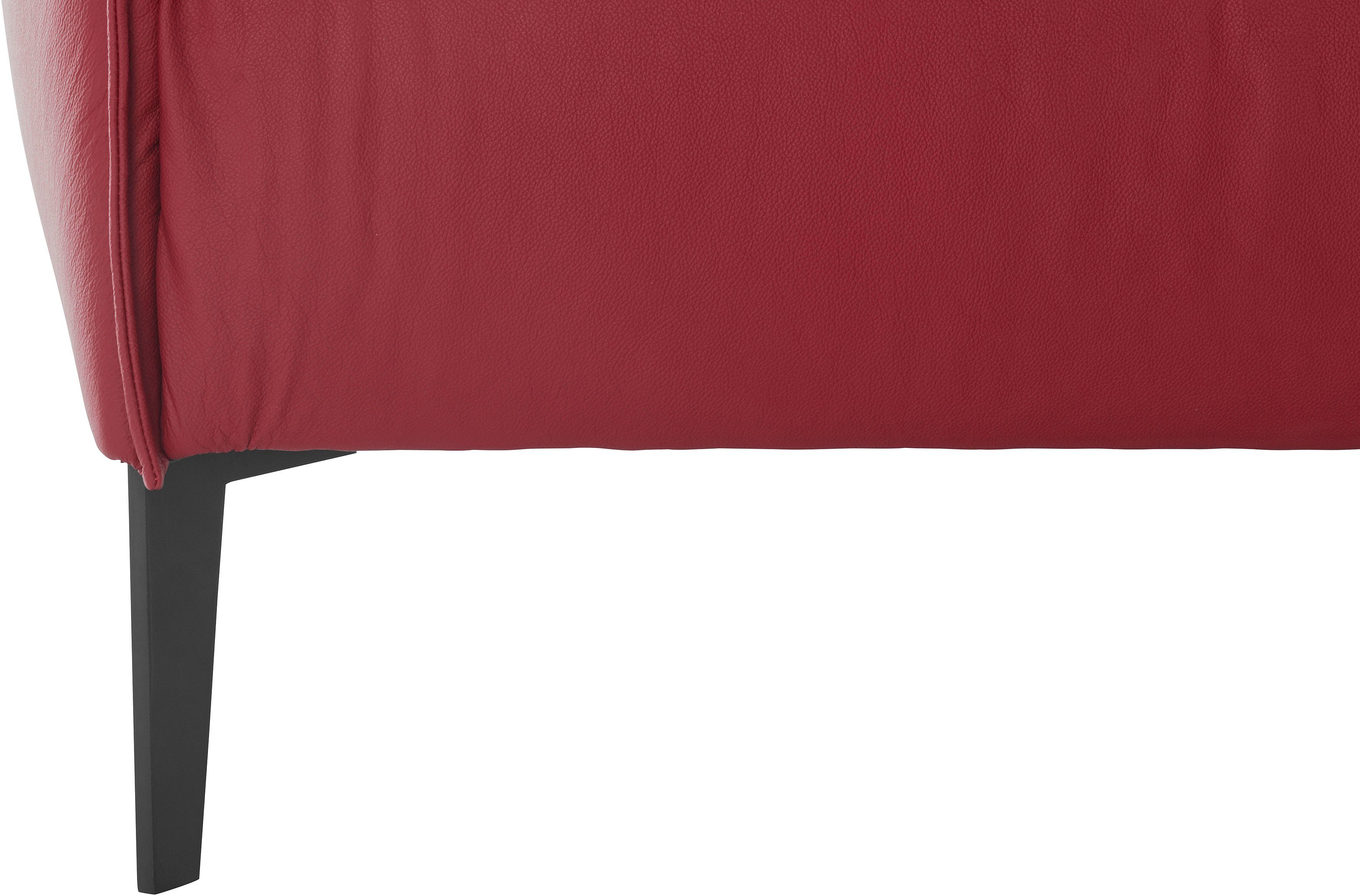 sally, pulverbeschichtet, Z59 2-Sitzer W.SCHILLIG Metall-Winkelfüßen 154 ruby red in Schwarz mit cm Breite