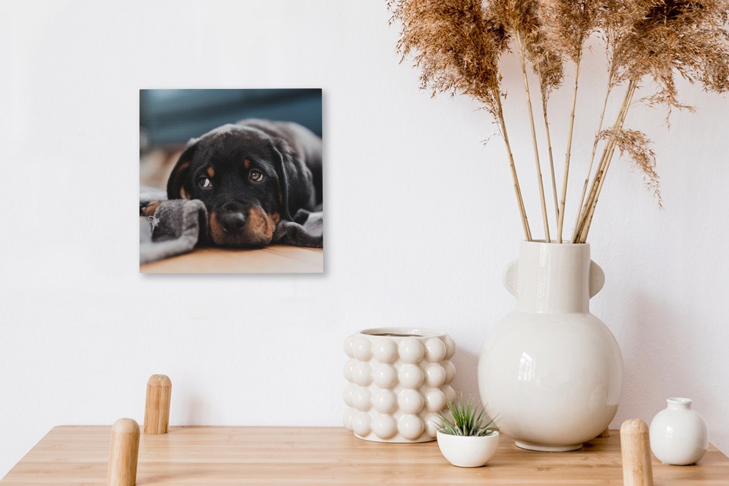 OneMillionCanvasses® Leinwandbild Niedlicher Bilder für Rottweiler-Welpe St), (1 dem Leinwand Wohnzimmer liegt Schlafzimmer Boden, auf