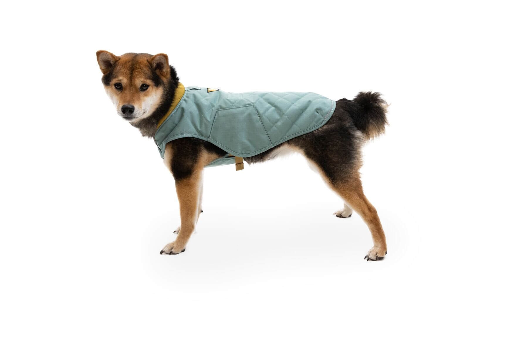 Ruffwear Hundemantel Stumptown Jacket