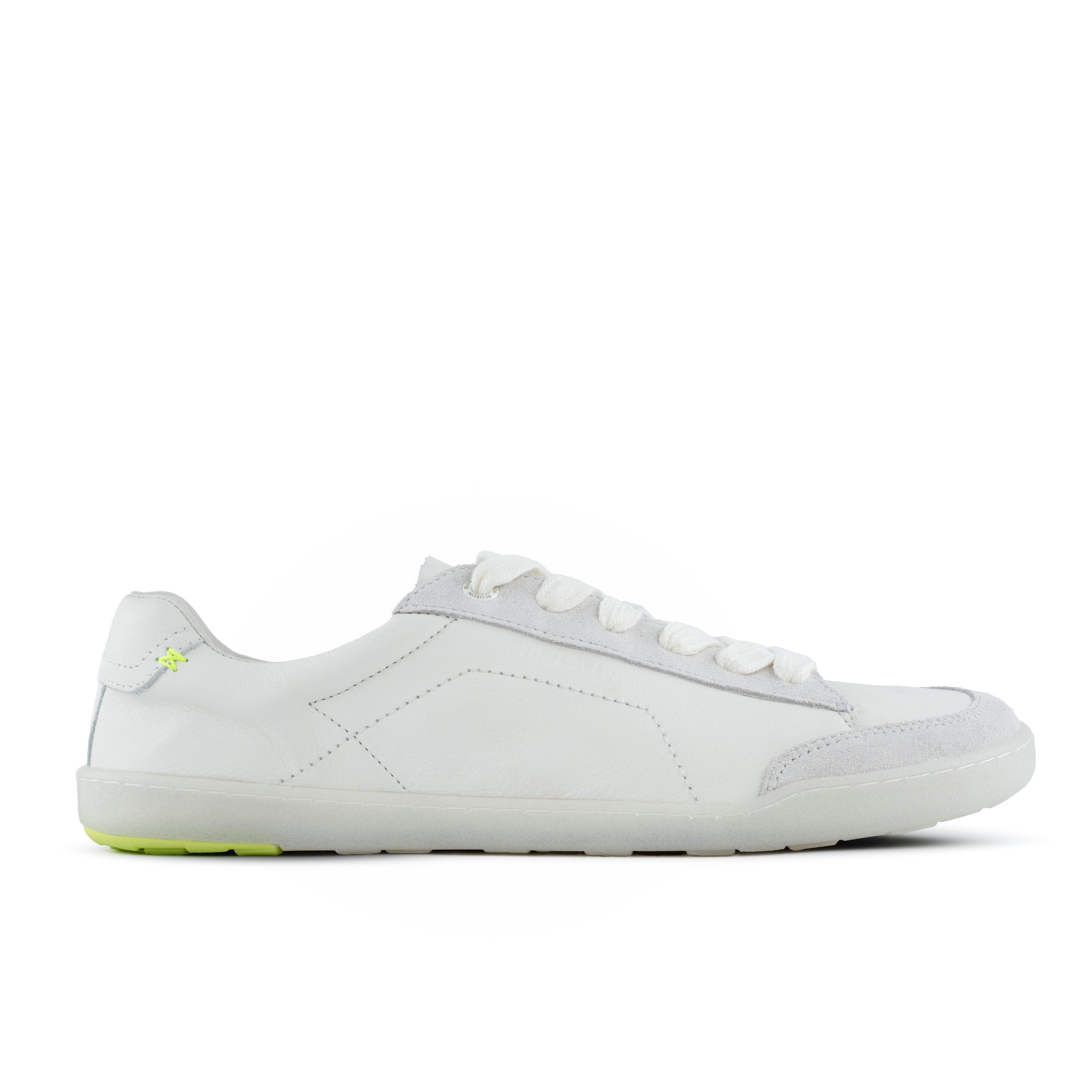 BLUSUN BLSN-500 Barfuß Sneaker Glattleder mit günstig online kaufen