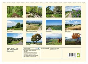 CALVENDO Wandkalender Viele Wege - ein Ziel Wandern im Odenwald (Premium, hochwertiger DIN A2 Wandkalender 2023, Kunstdruck in Hochglanz)