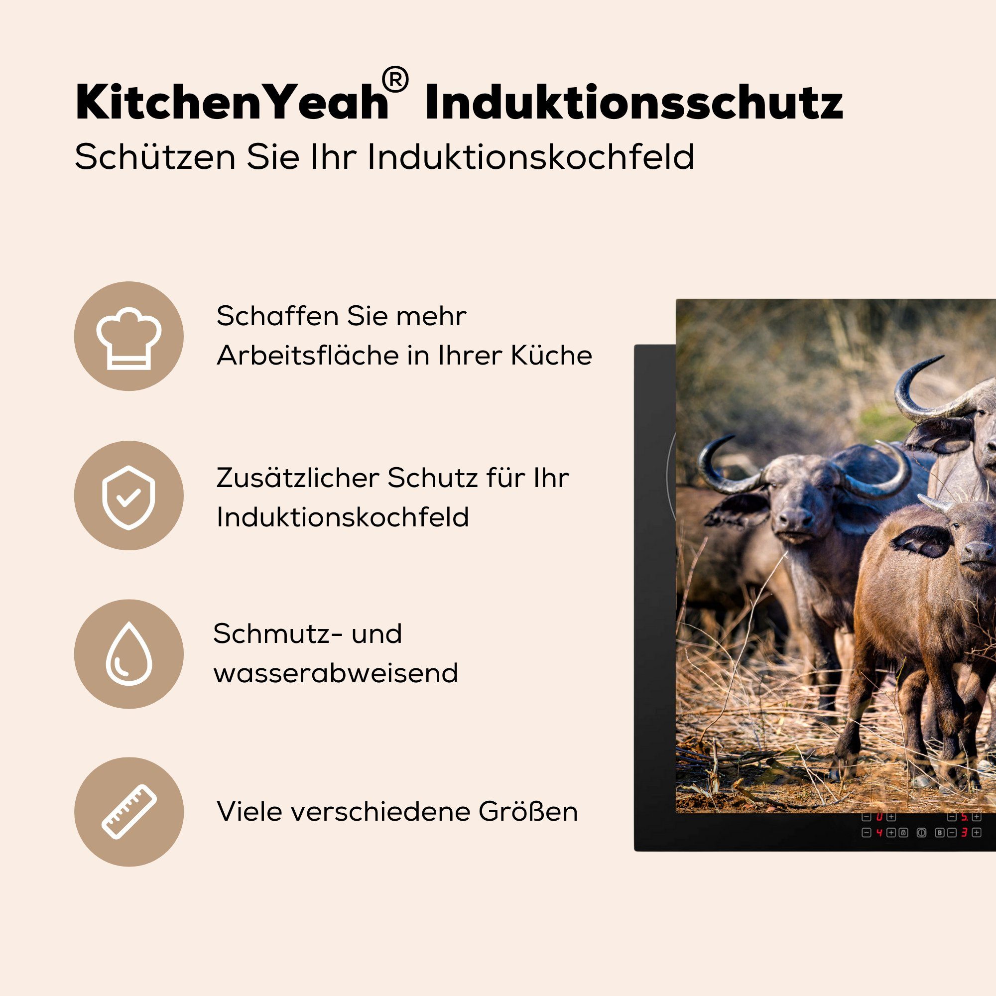 Büffeln, küche von neugierigen cm, Ceranfeldabdeckung, Gruppe tlg), Arbeitsplatte Vinyl, 78x78 (1 für Herdblende-/Abdeckplatte MuchoWow