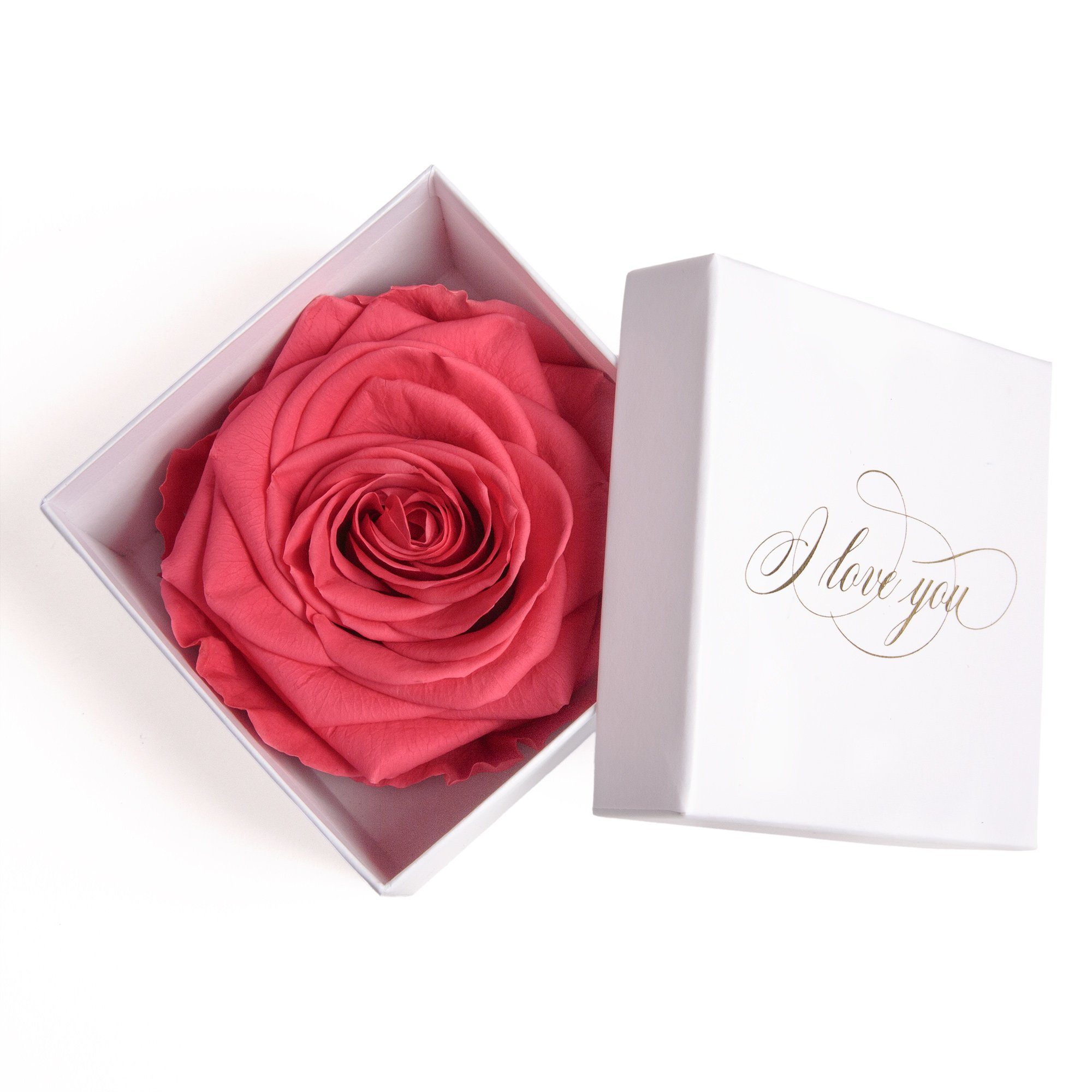 Kunstblume Infinity Rose in Box weiß I LOVE YOU Geschenk Frauen Liebesbeweis Valentinstag Rose, ROSEMARIE SCHULZ Heidelberg, Höhe 6 cm, Rose haltbar bis zu 3 Jahre pink