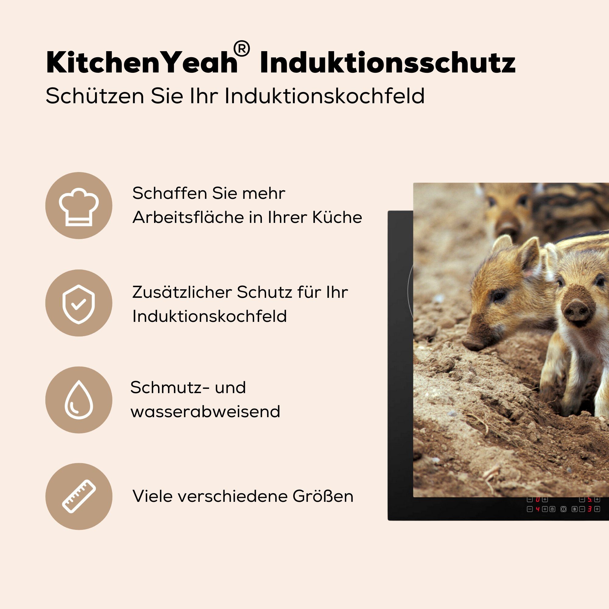 Herdblende-/Abdeckplatte 81x52 tlg), Induktionskochfeld cm, - die Schlamm Tier, MuchoWow - (1 küche, Vinyl, Ceranfeldabdeckung Schutz Wildschwein für