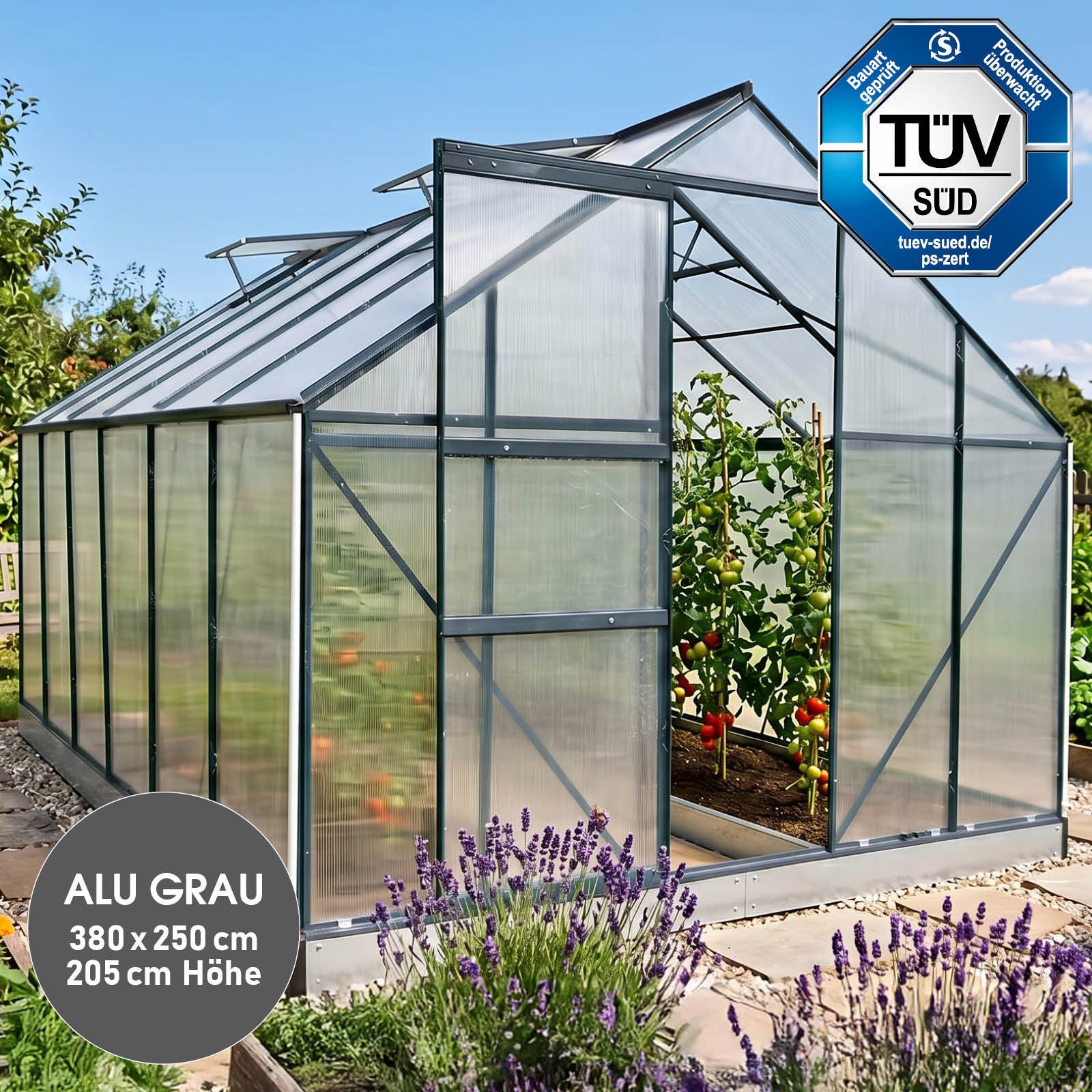 BRAST Gewächshaus ALU mit Fundament rostfrei 380x250x205cm TÜV geprüft, BxTxH: 250 x 380 x 205 cm, wetterfestes hochwertiges Aluminium, Temperaturbeständig, Wär – Bild 2 von 5