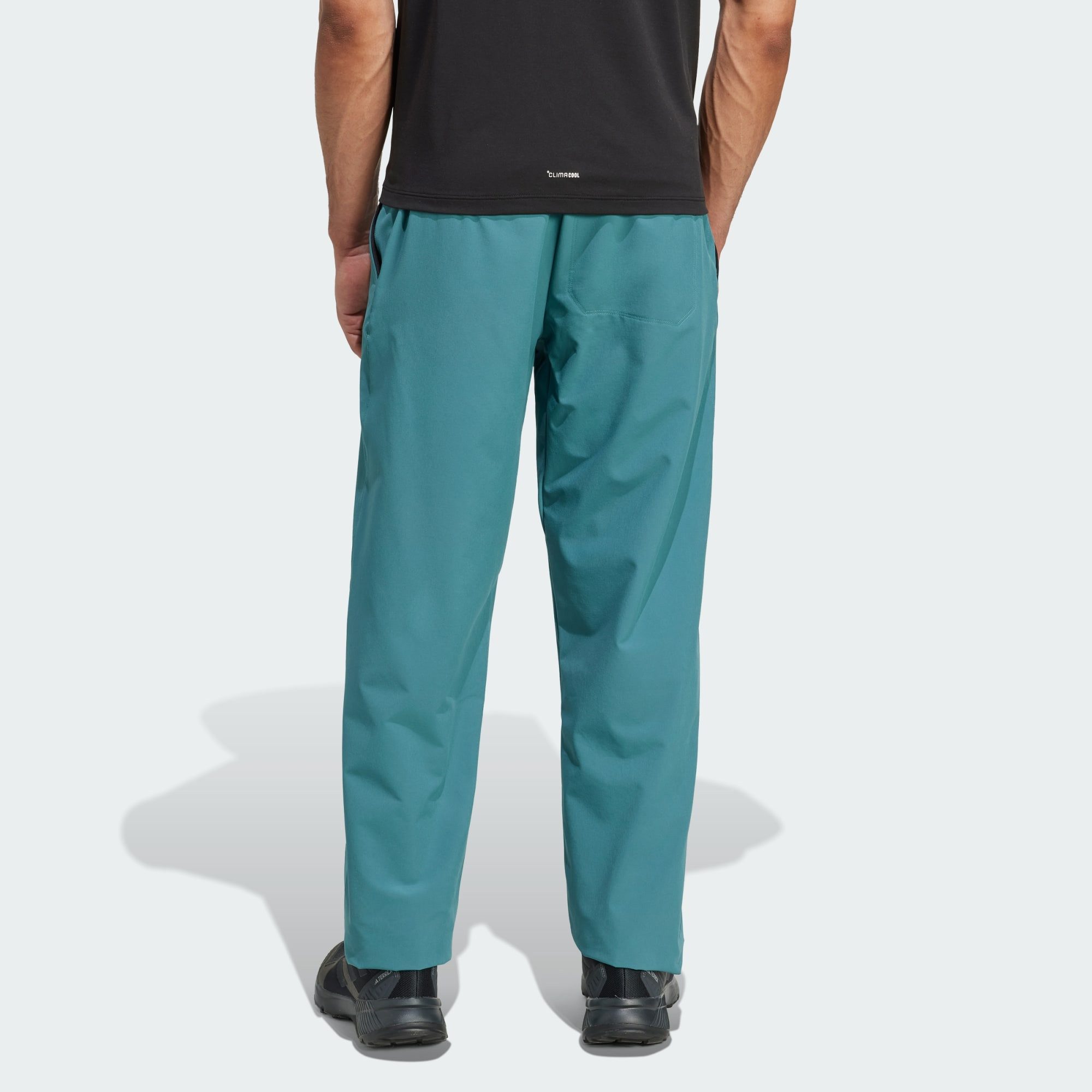 adidas TERREX Outdoorhose TERREX MULTI LITEFLEX günstig online kaufen