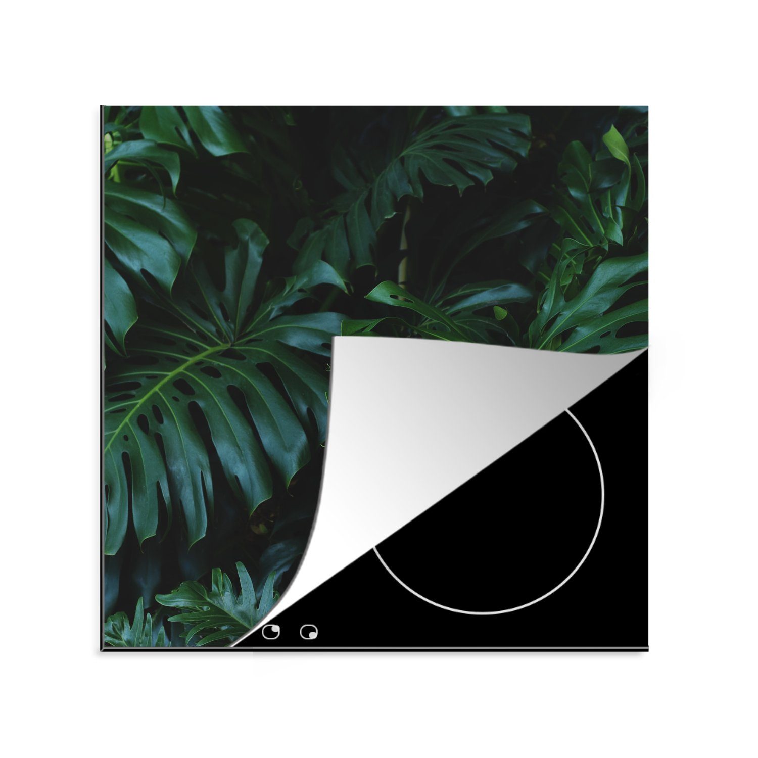 MuchoWow Herdblende-/Abdeckplatte Pflanzen - Dschungel - Blätter, Vinyl, (1 tlg), 78x78 cm, Ceranfeldabdeckung, Arbeitsplatte für küche