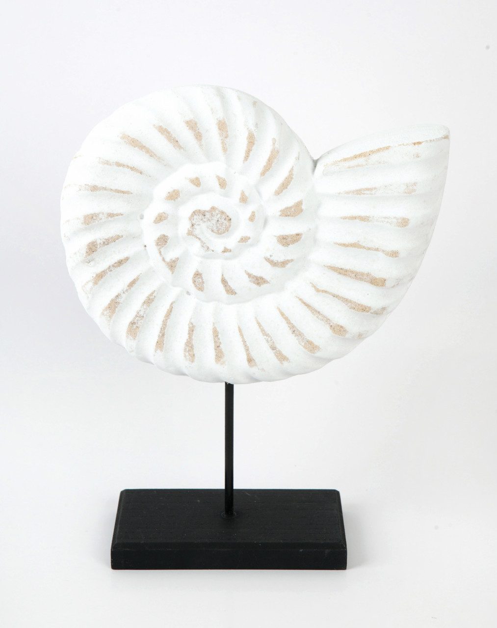 Dekoobjekt TrendLine Aufsteller Holz Muschel 26 x 7 x 22 cm