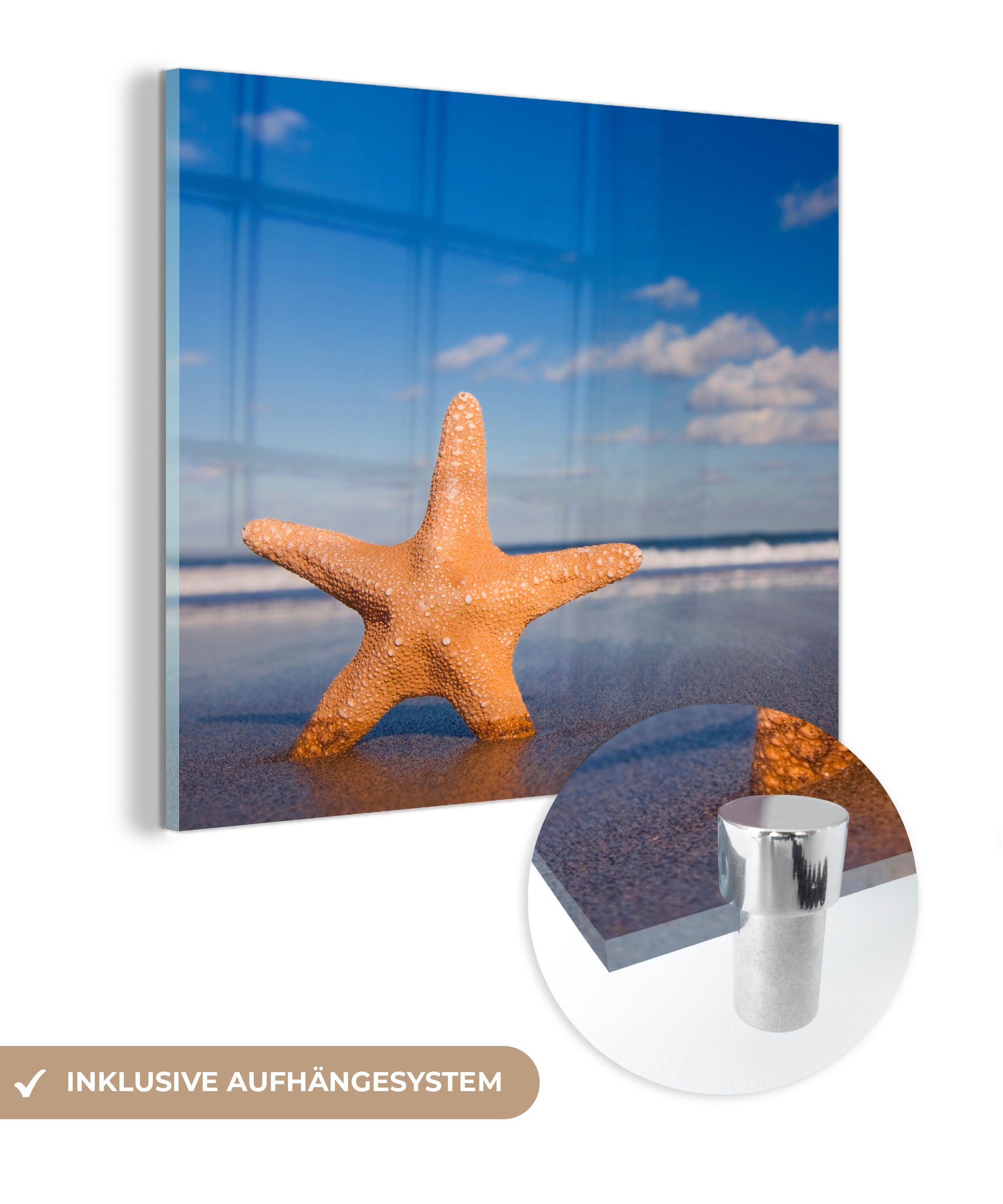 MuchoWow Acrylglasbild Seestern - Orange - Sand, (1 St), Glasbilder - Bilder auf Glas Wandbild - Foto auf Glas - Wanddekoration