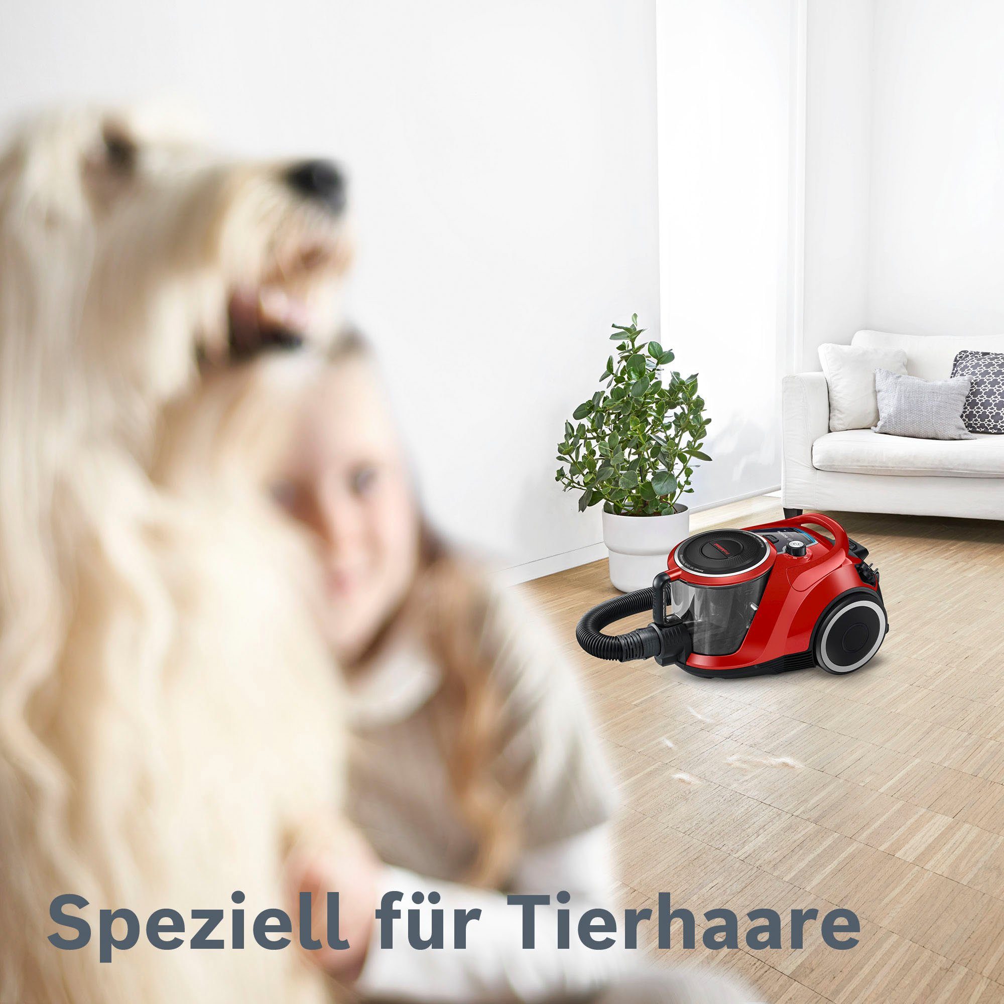 für Haustierbesitzer, W, Plus Düse und BGC41PET, umfangreichen Bodenstaubsauger 750 AirTurbo beutellos, Zubehör inkl. BOSCH Ideal