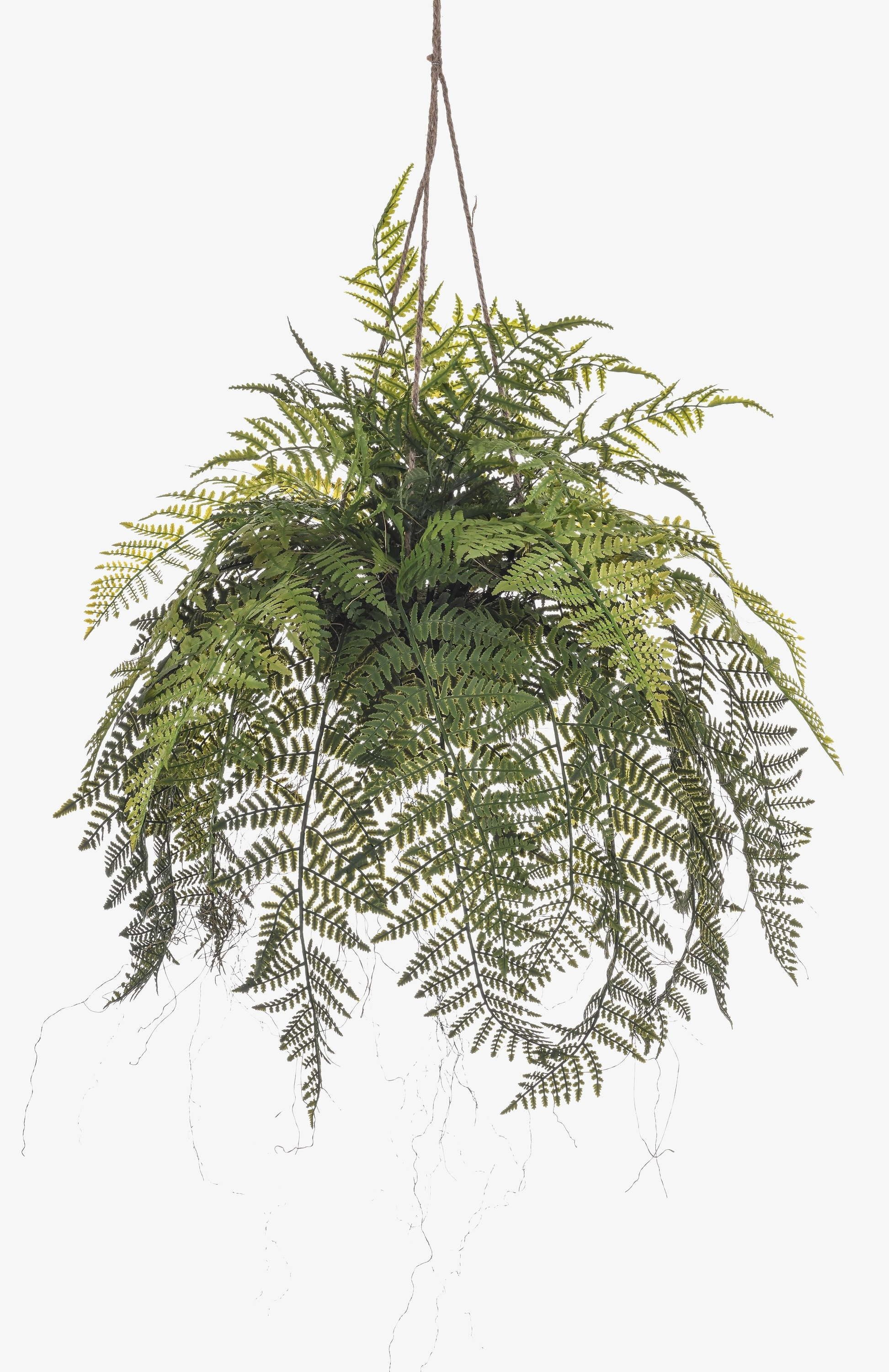 Artplants Online-Shop