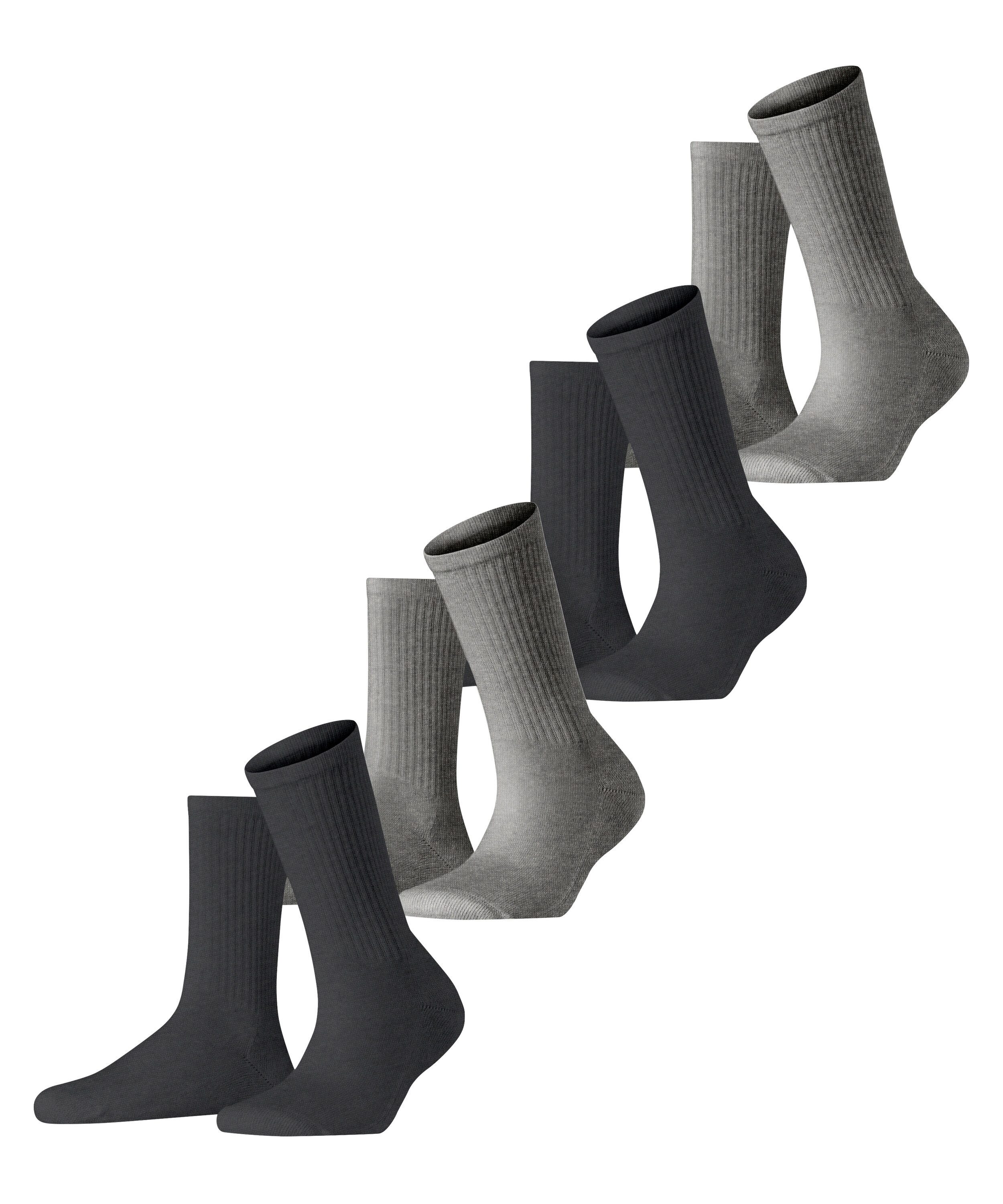 Socken Basic Tennis 4-Pack Socken