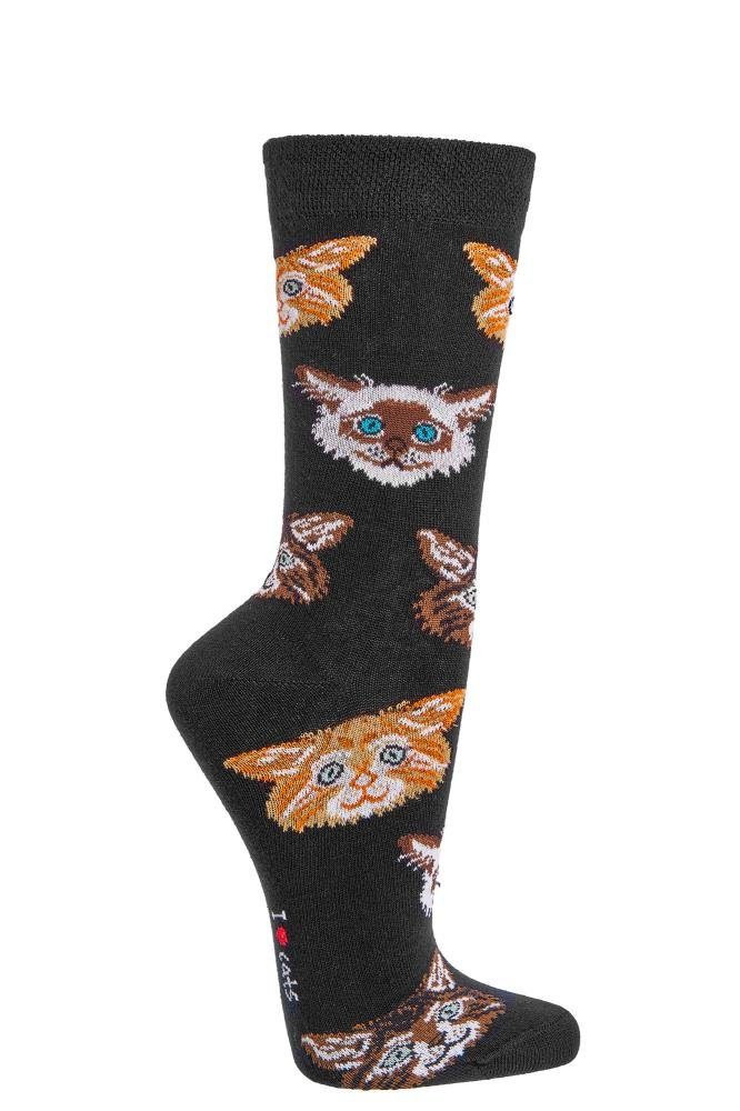 Miezekatze